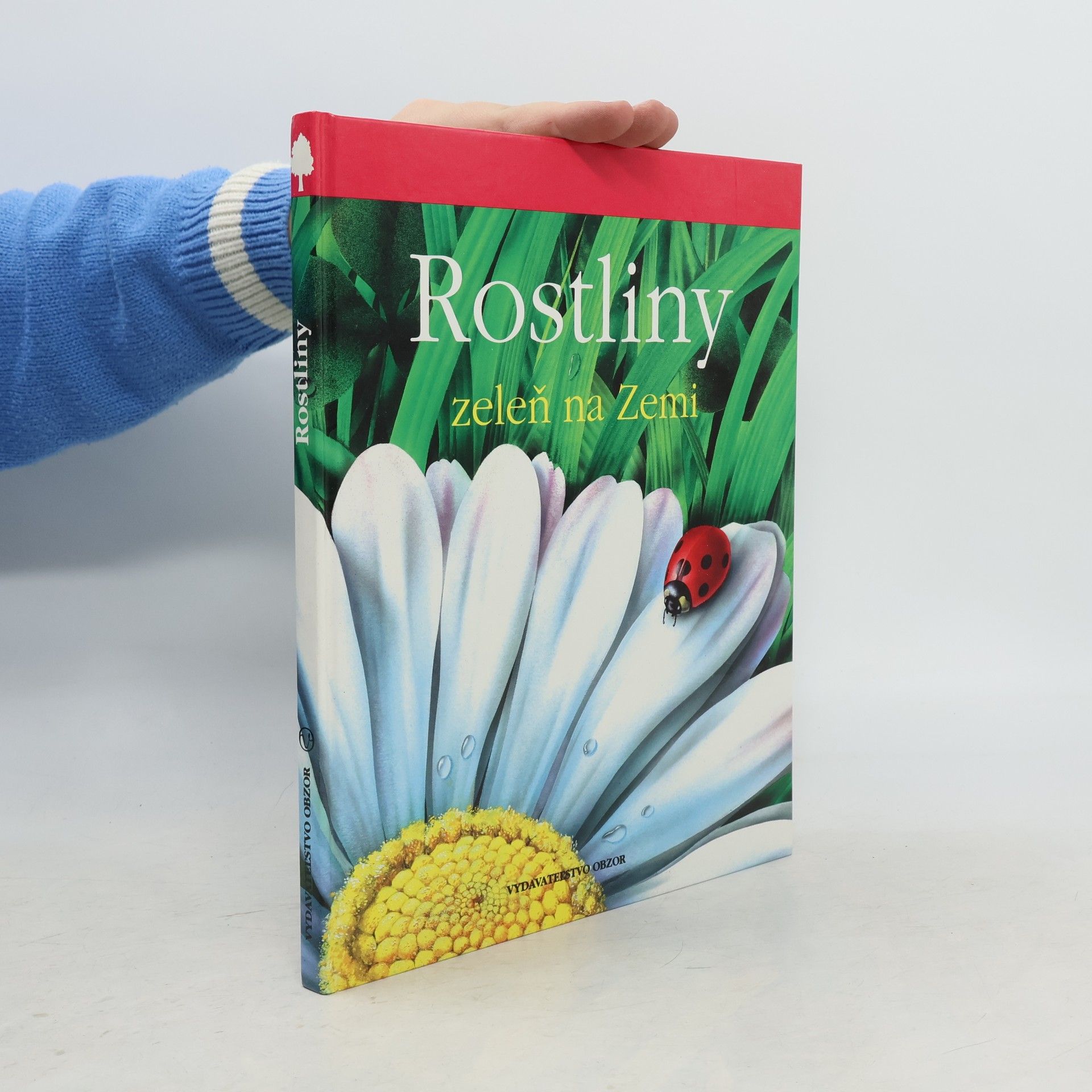 Lucia Benedittiová Rostliny. Zeleň na zemi