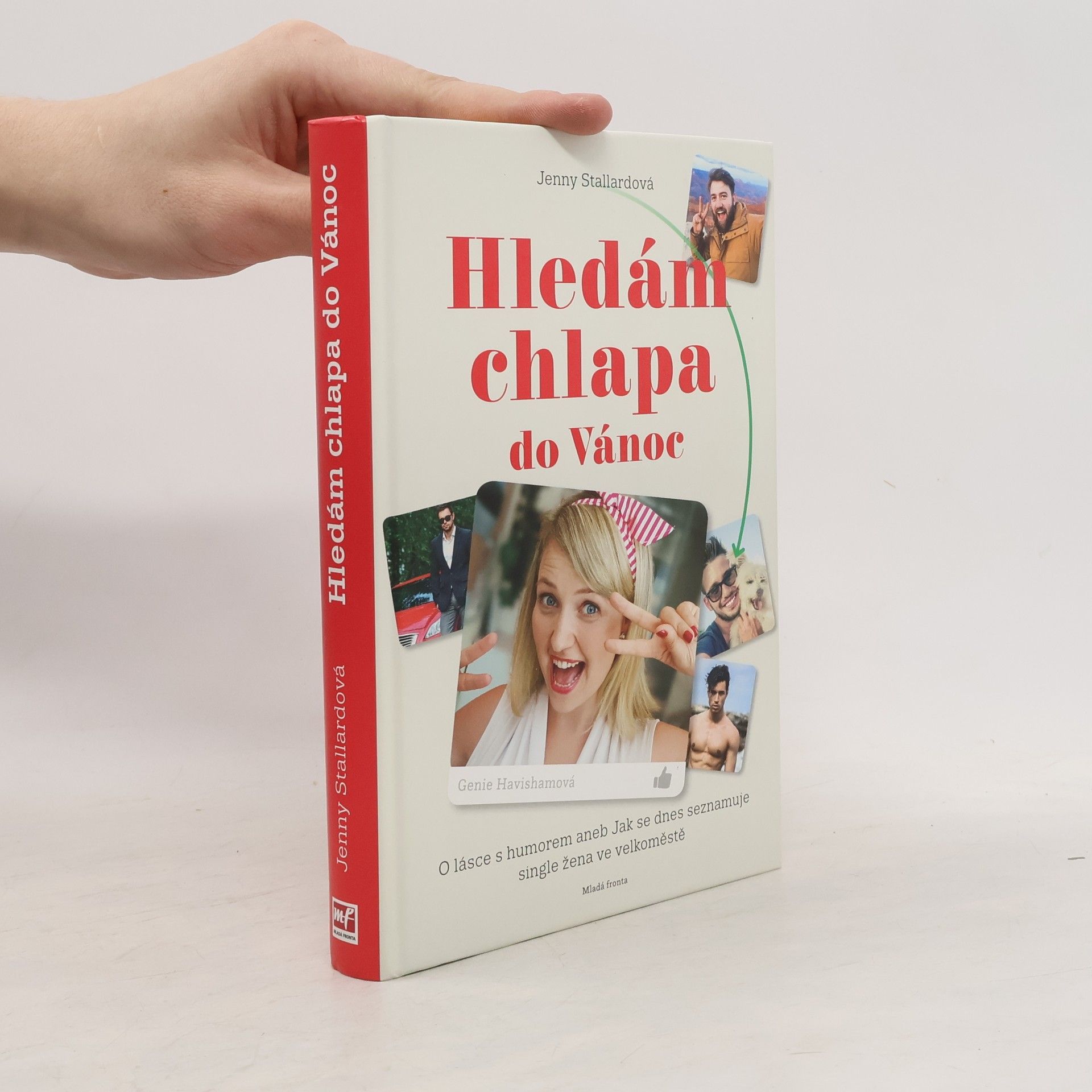 Jenny Stallard Hledám chlapa do Vánoc