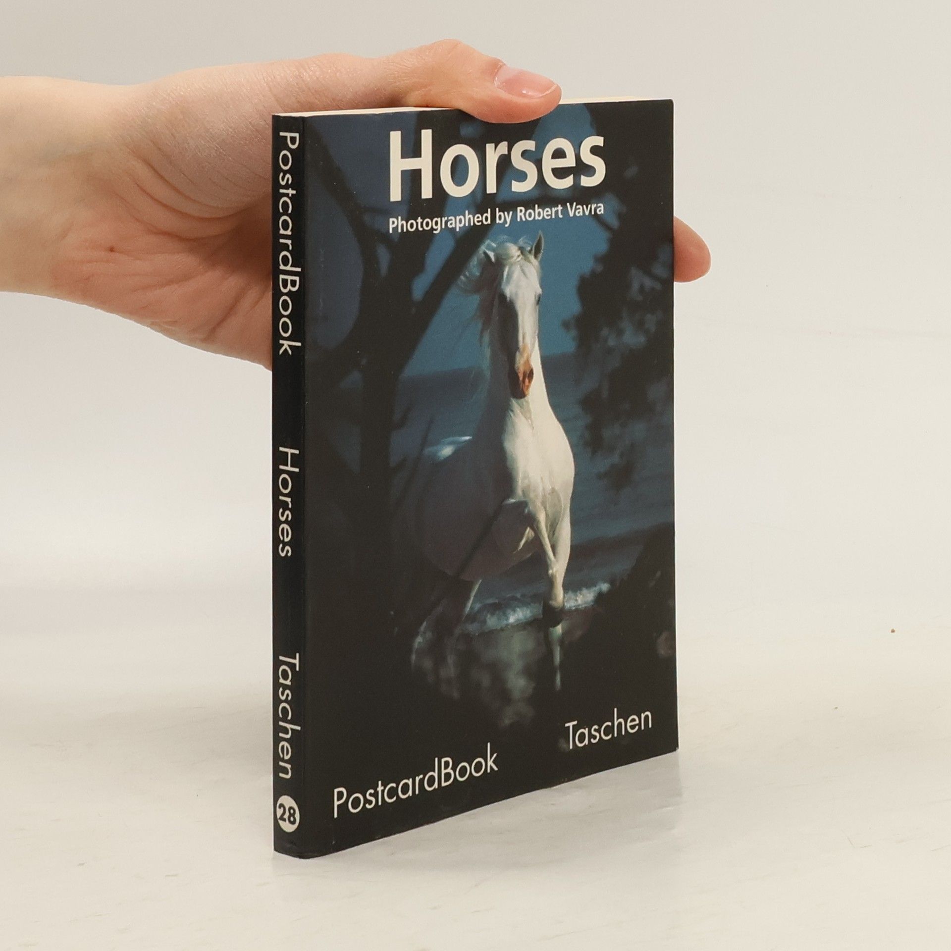 PostcardBook - 28: Horses
