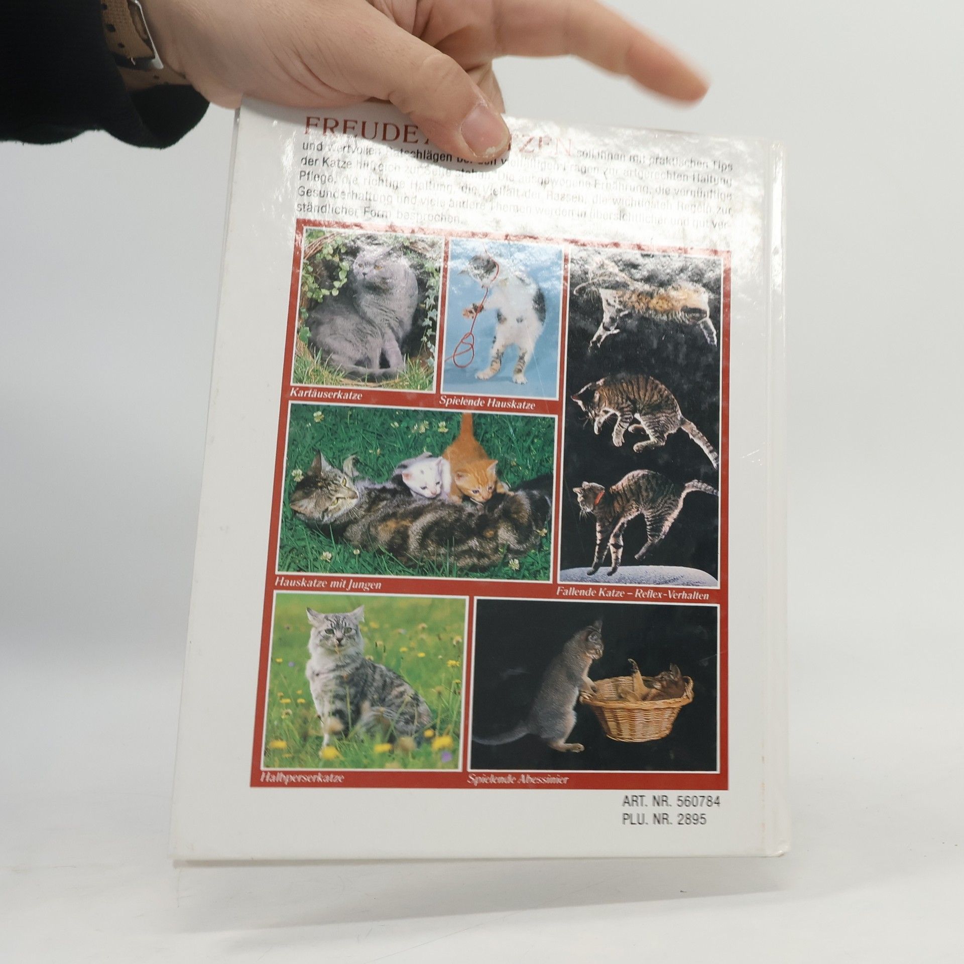 Friedrich Börner Freunde an Kleinen Katzen