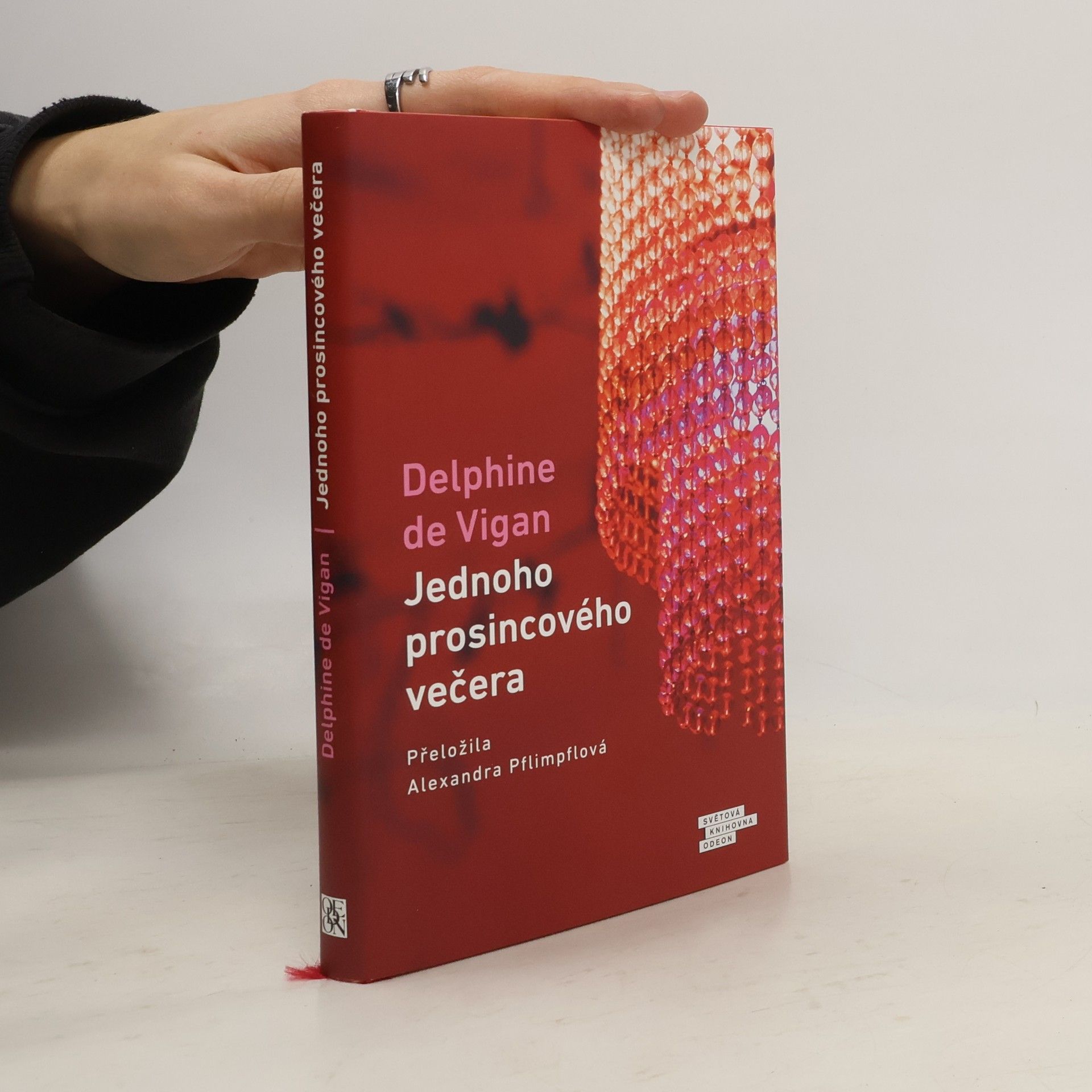 Delphine de Vigan Jednoho prosincového večera