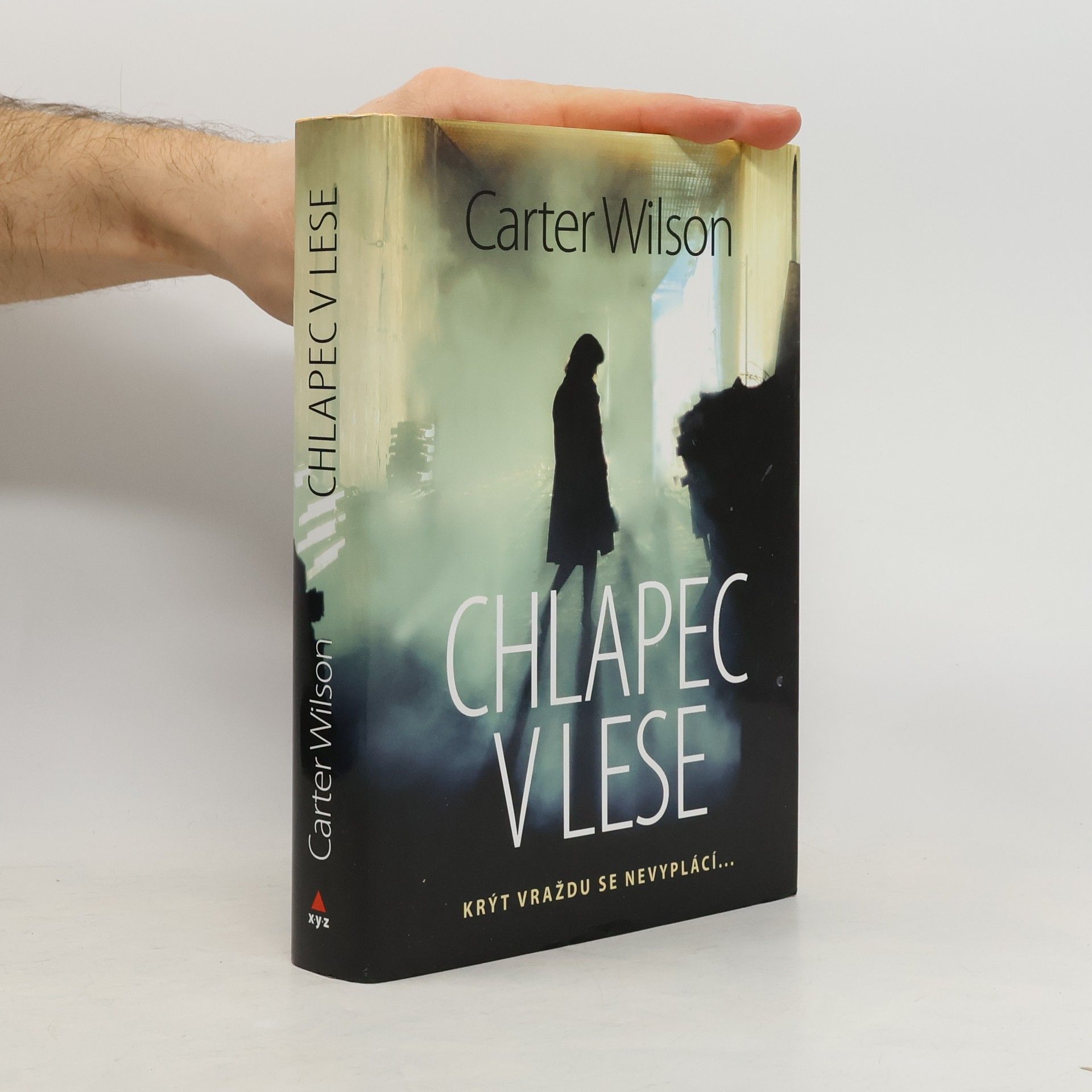 Carter Wilson Chlapec v lese : krýt vraždu se nevyplácí...