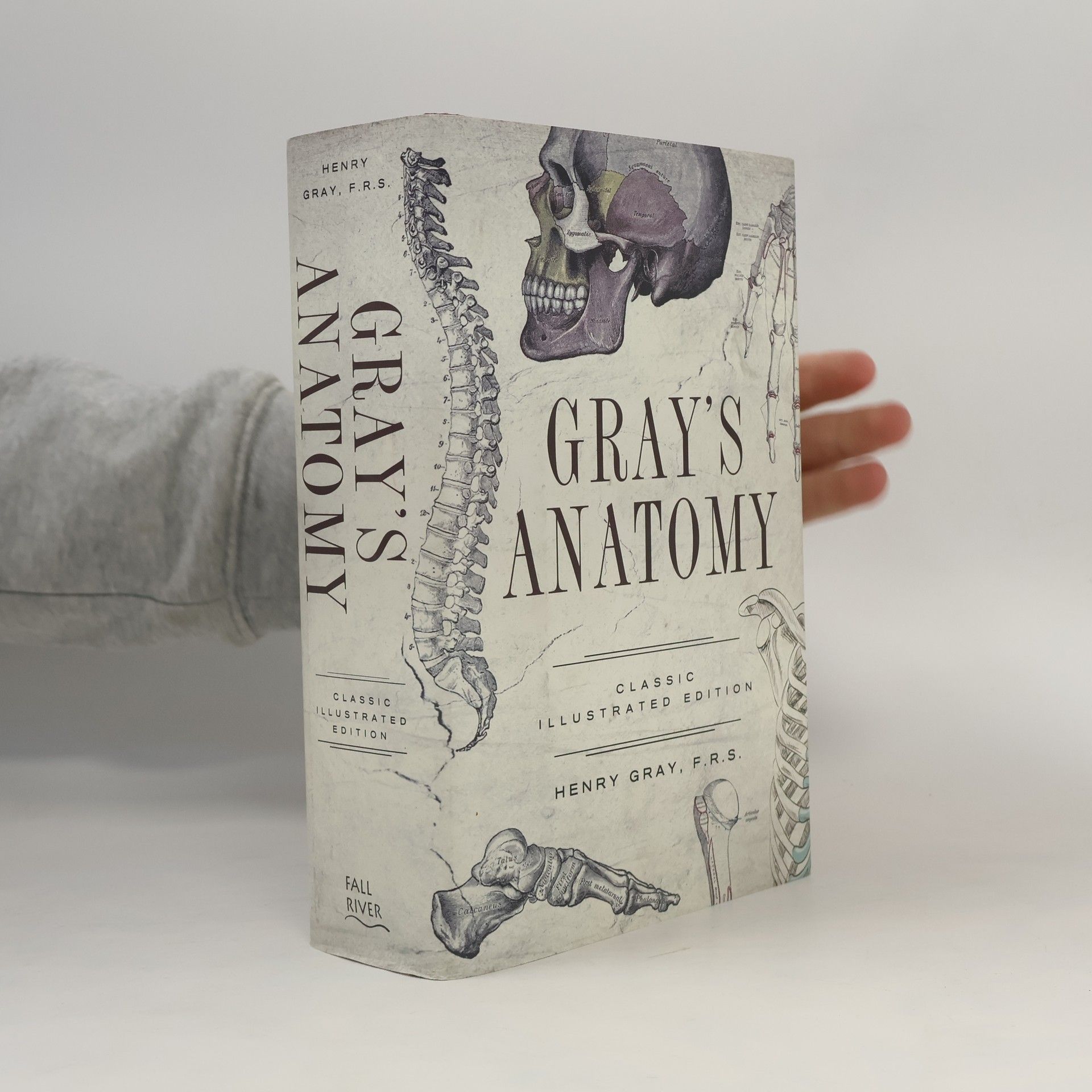Henry Gray Fall River Classics: Gray's Anatomy