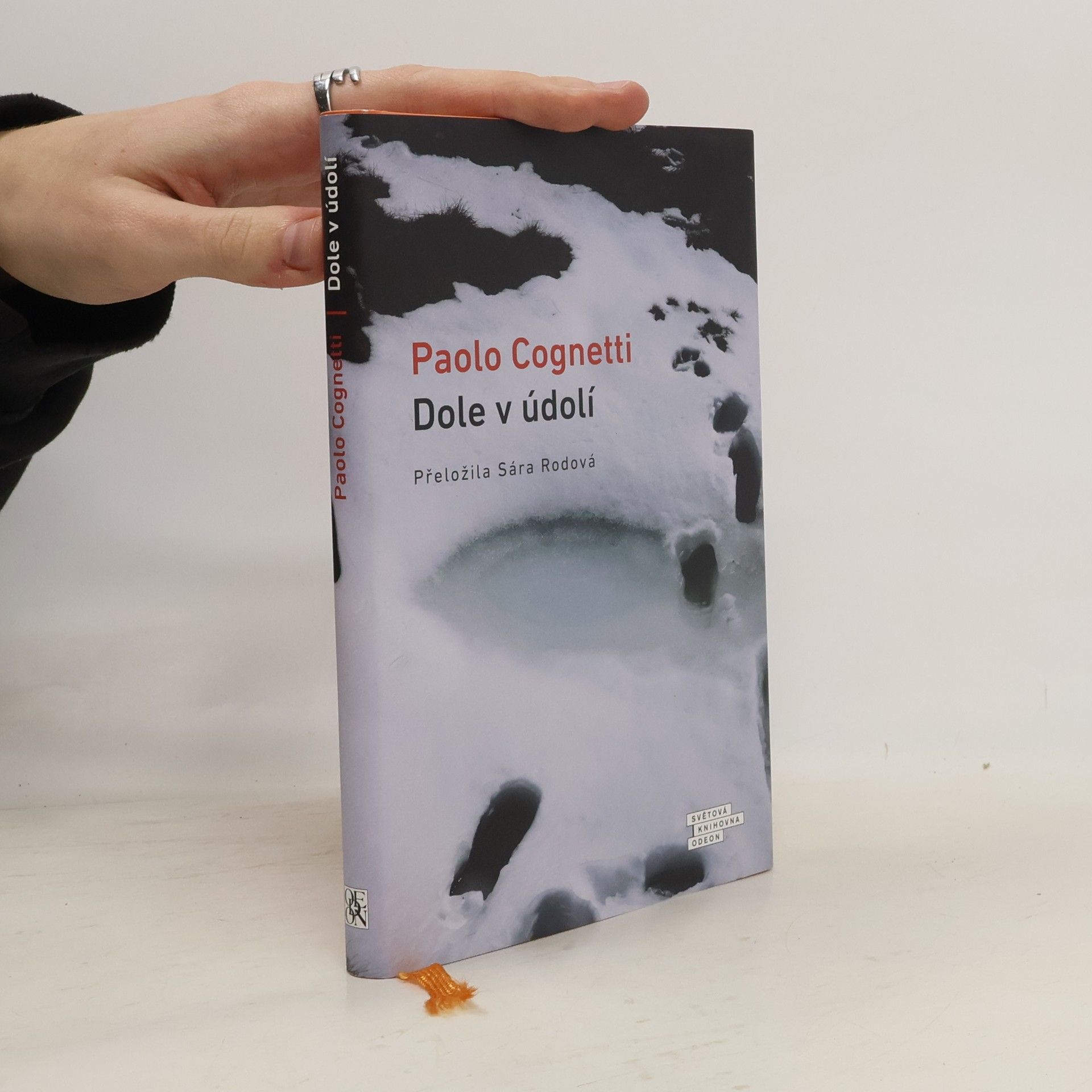 Paolo Cognetti Dole v údolí