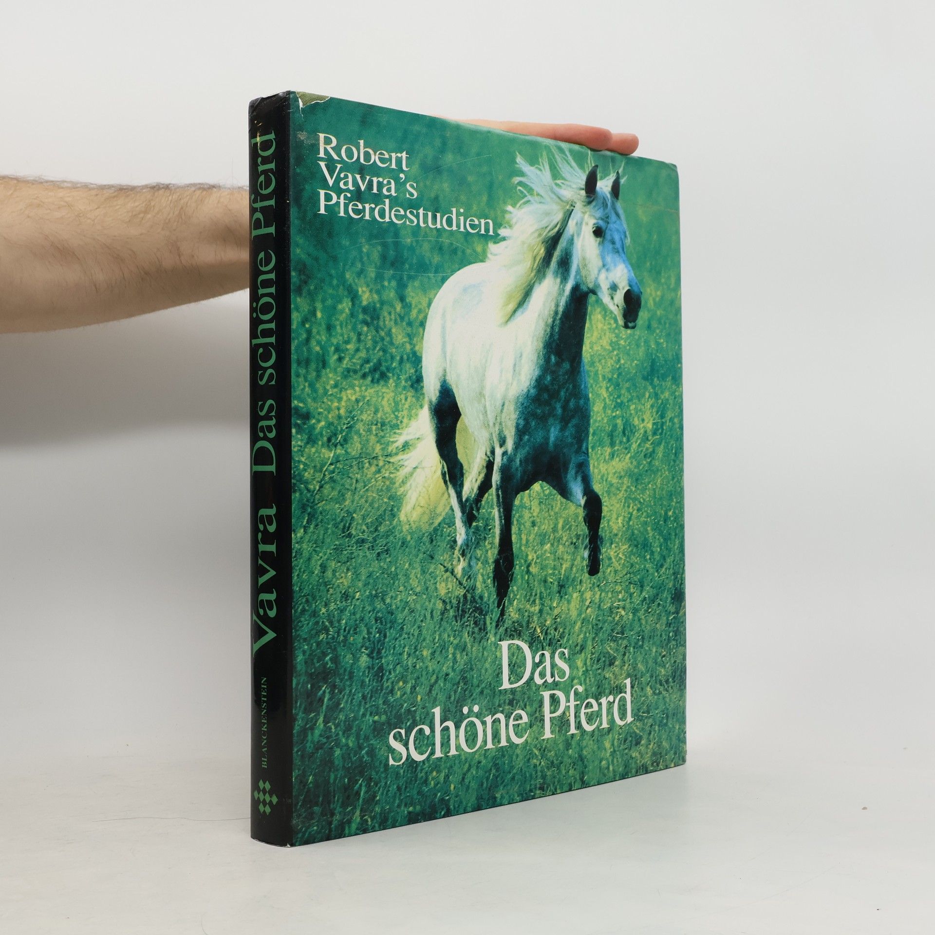 Robert Vavra Robert Vavra's Pferdestudien: Das Schöne Pferd