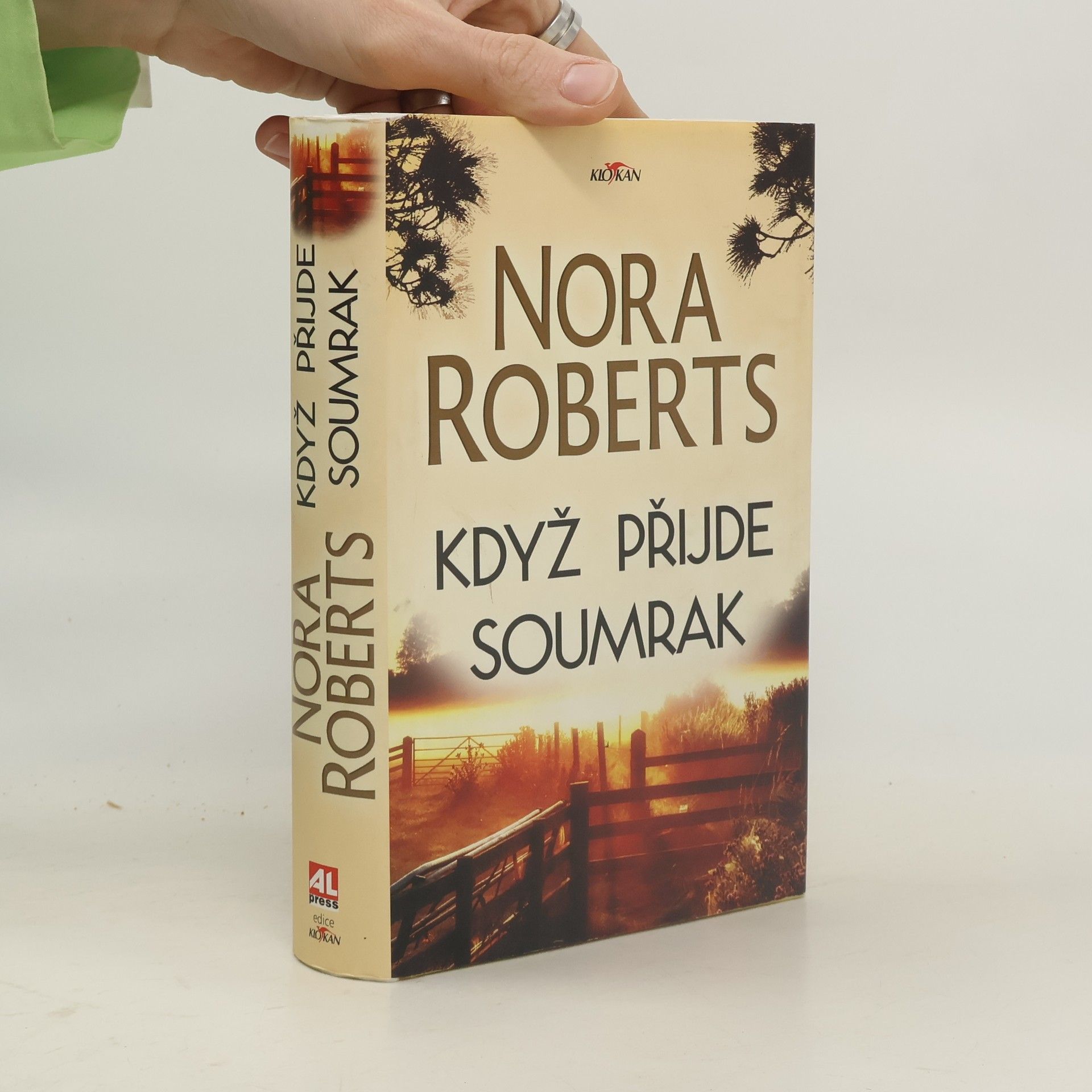 Nora Roberts Když přijde soumrak