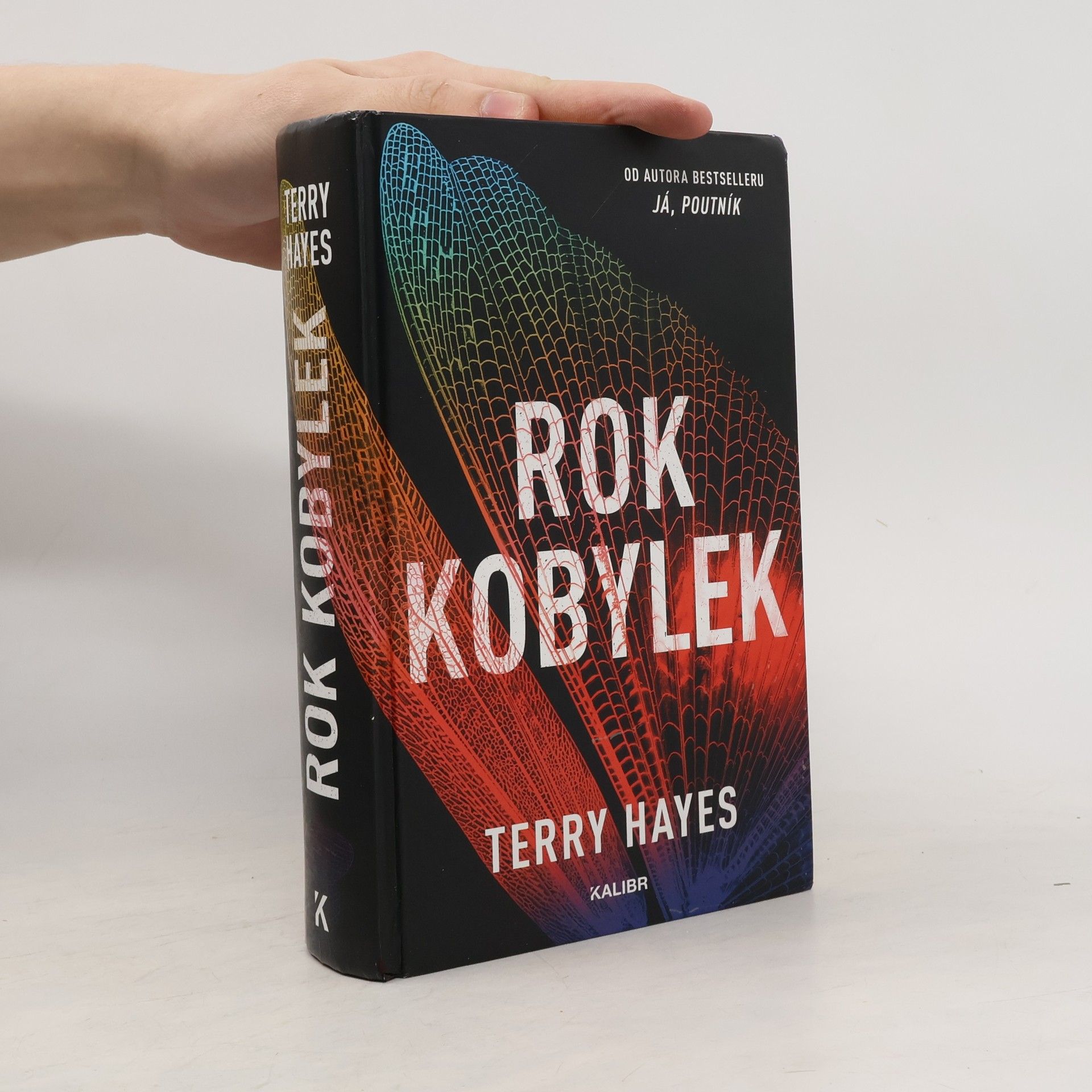 Terry Hayes Rok kobylek
