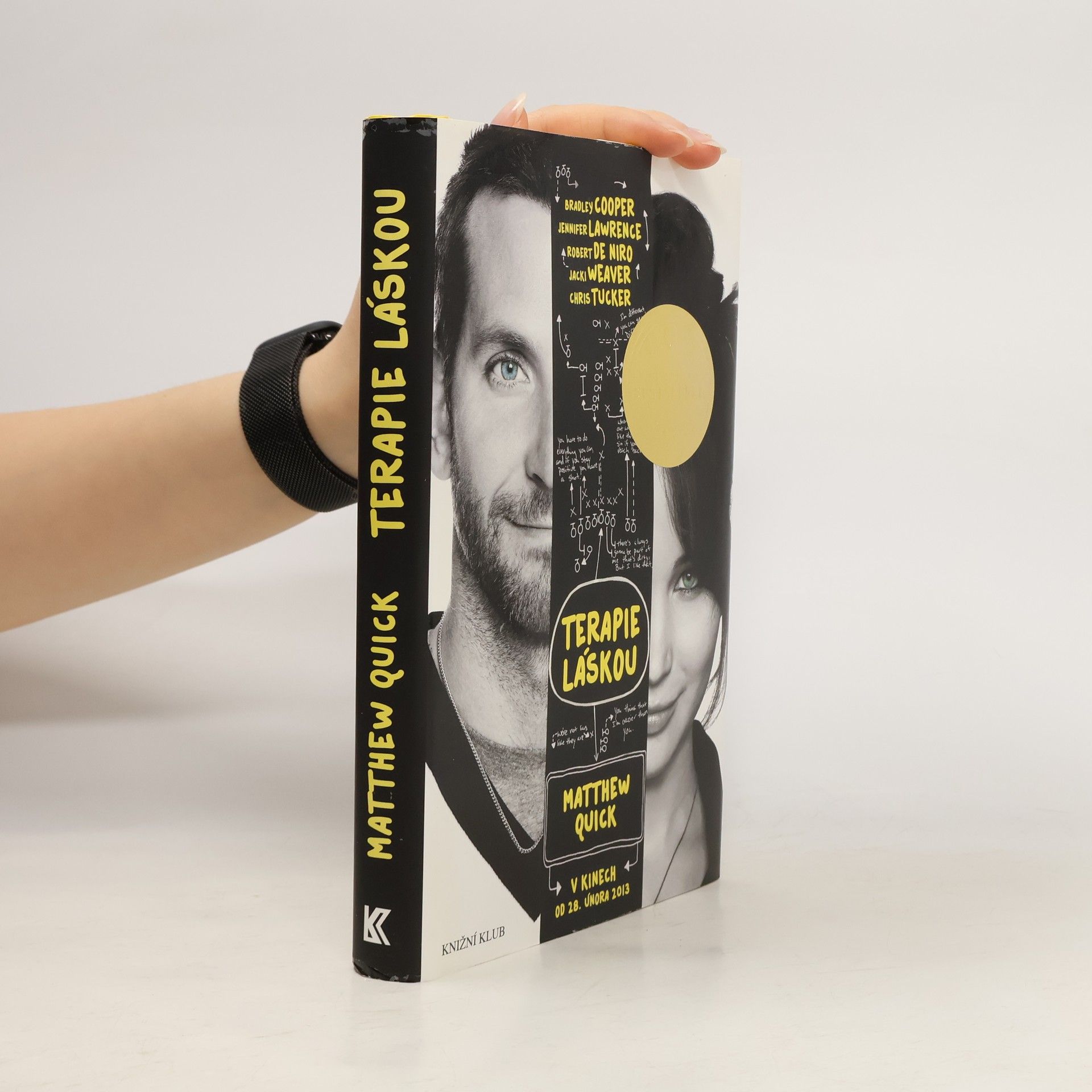 Matthew Quick Terapie láskou