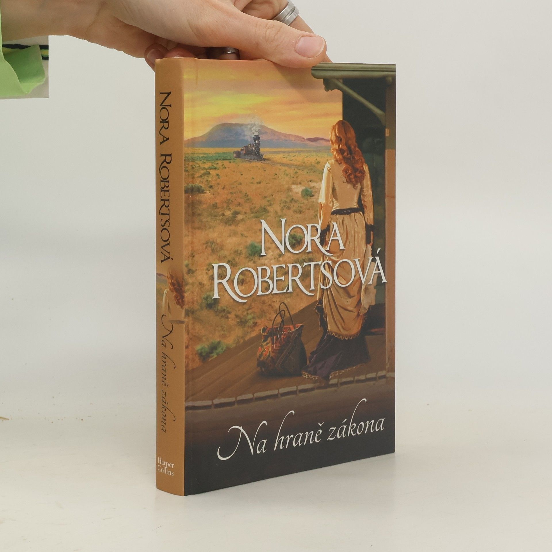 Nora Roberts Na hraně zákona
