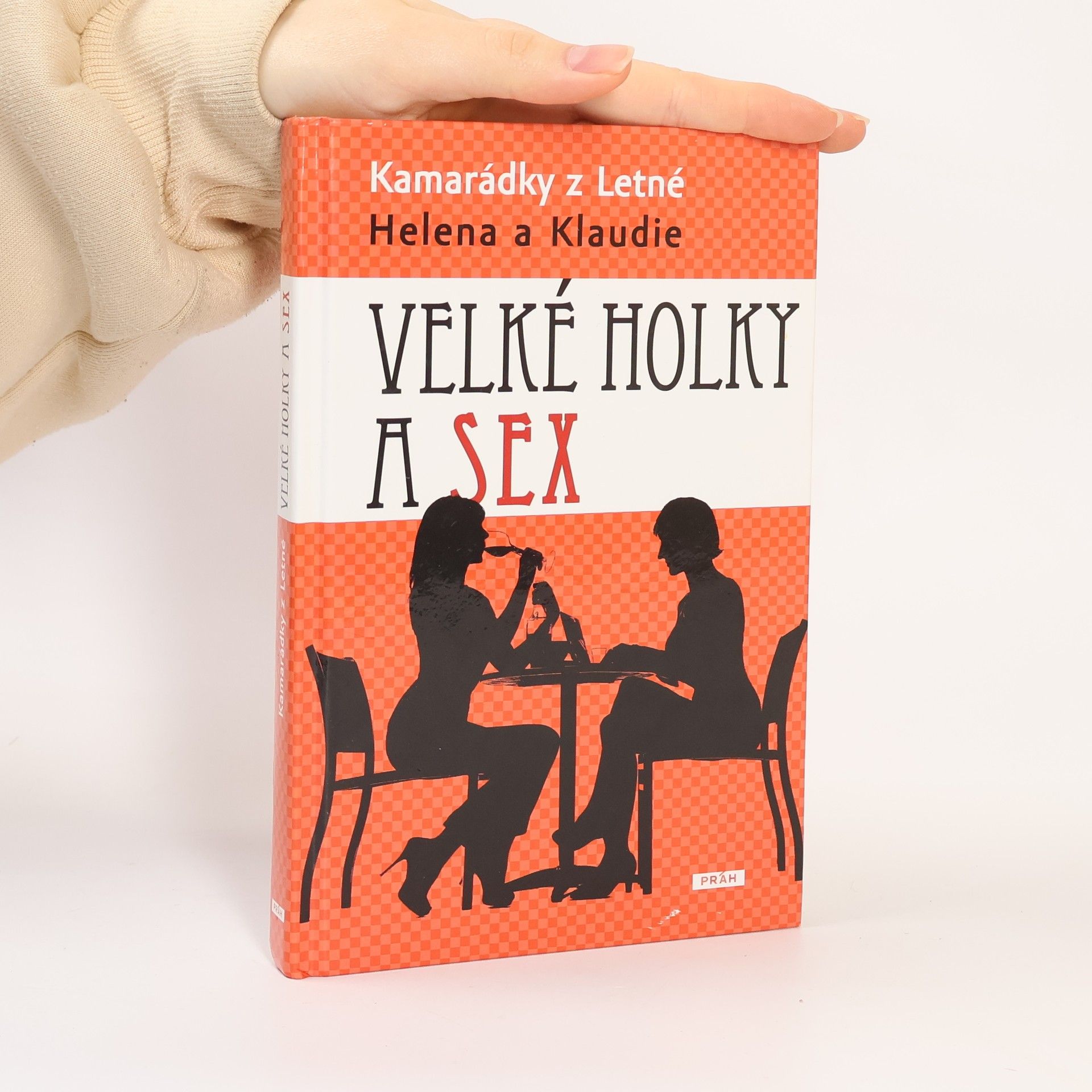 Autorenkollektiv Velké holky a sex