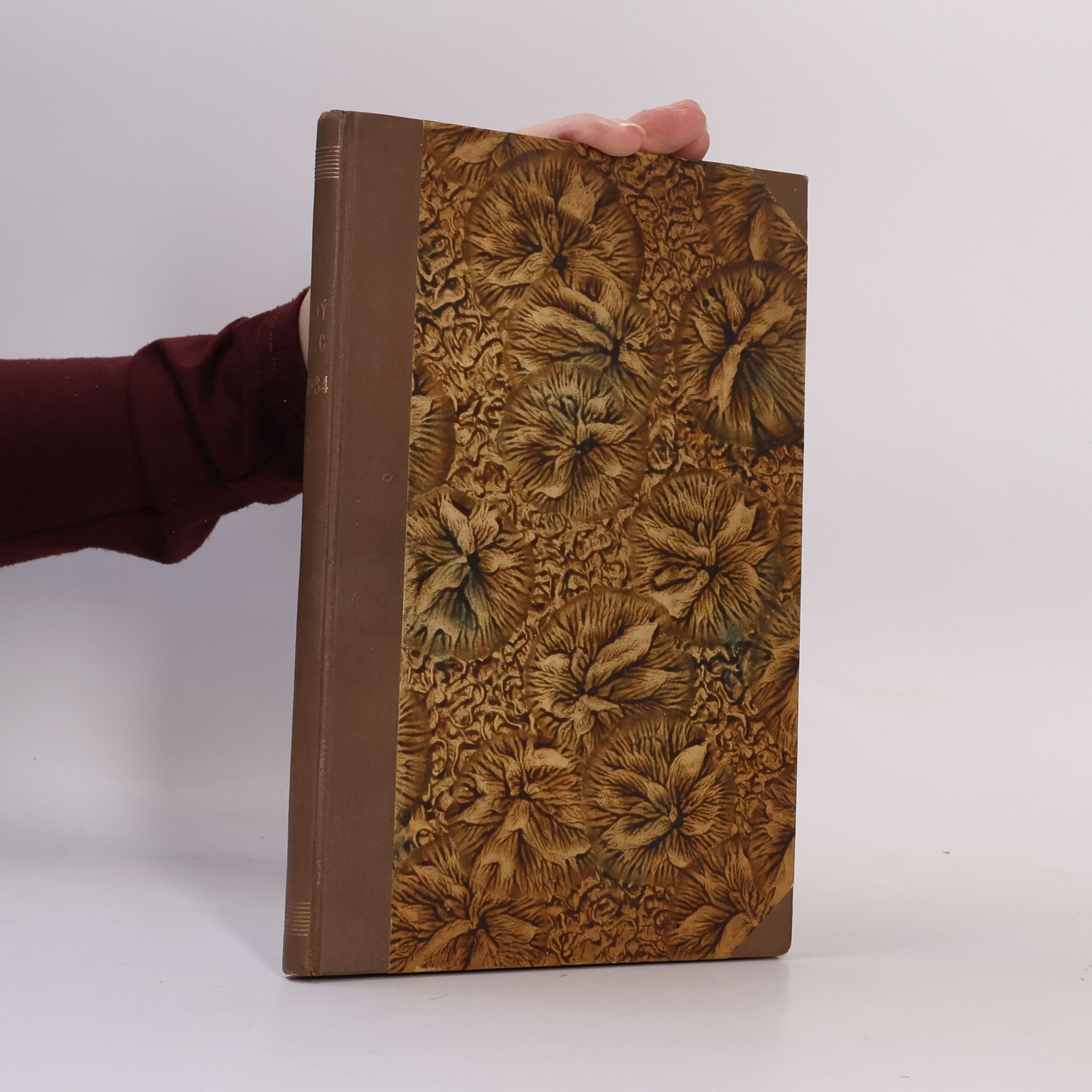 Autorenkollektiv Mladý letec. Ročník V. Číslo 1