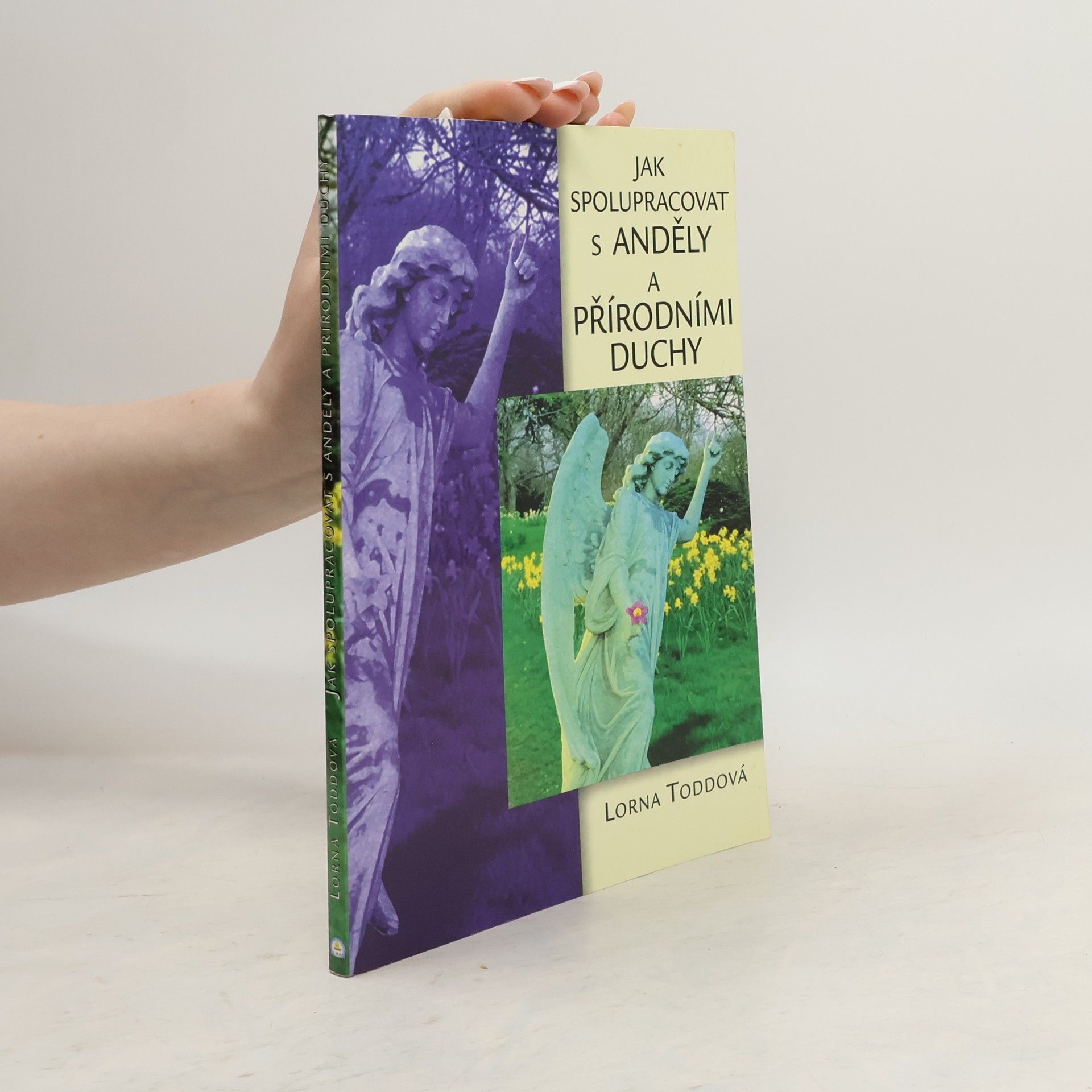 Lorna Todd Jak spolupracovat s anděly a přírodními duchy