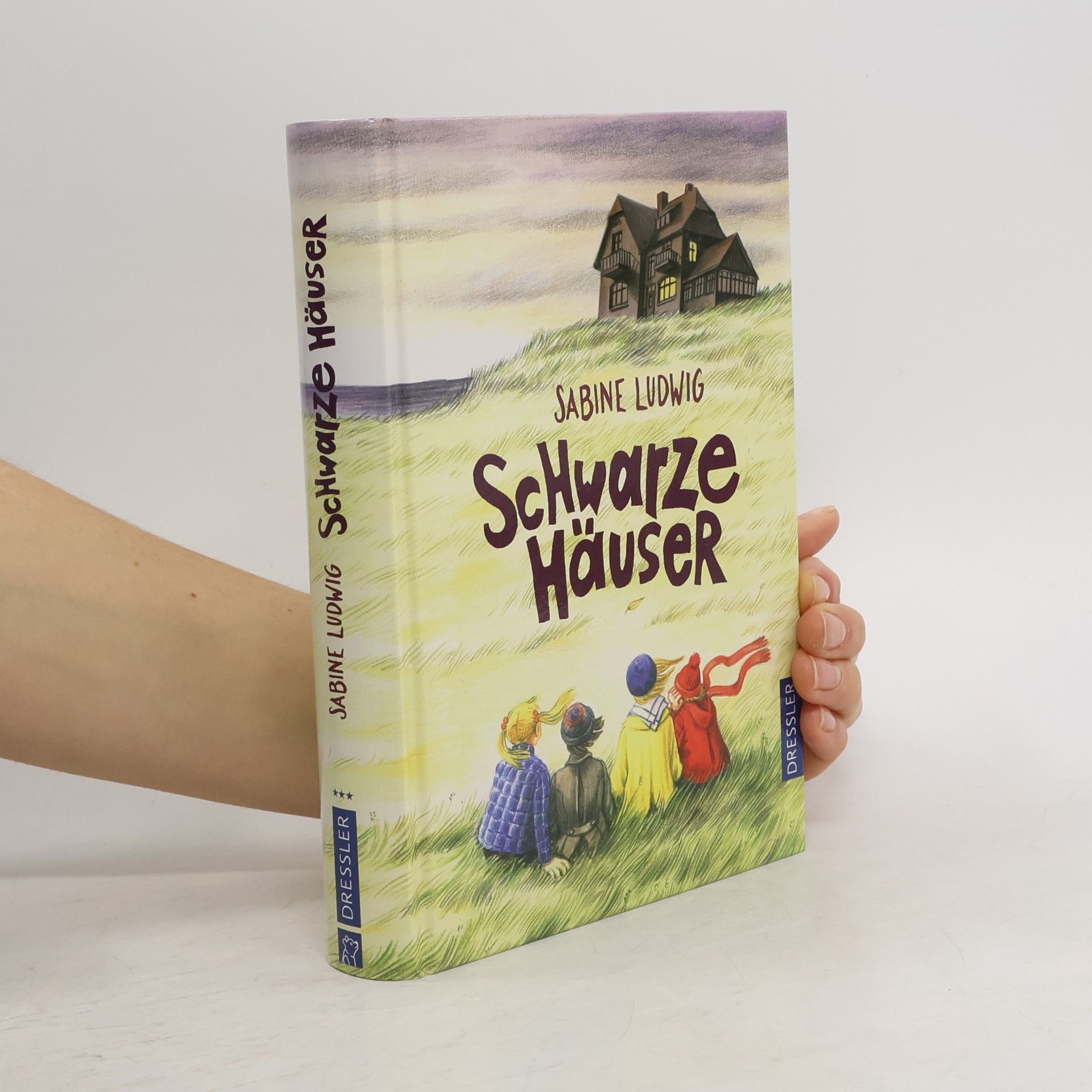 Sabine Ludwig Schwarze Häuser