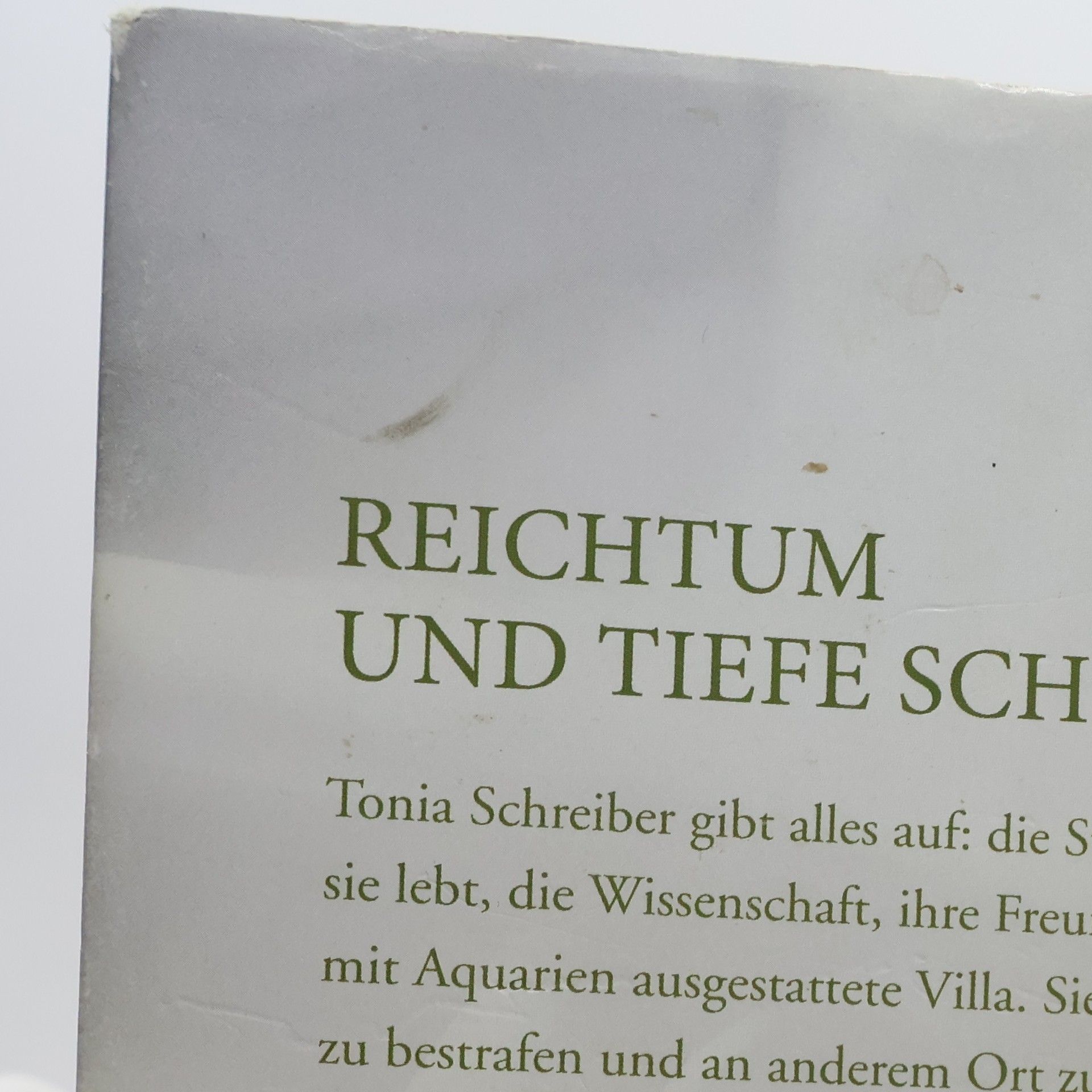 Heinrich Steinfest Die Büglerin