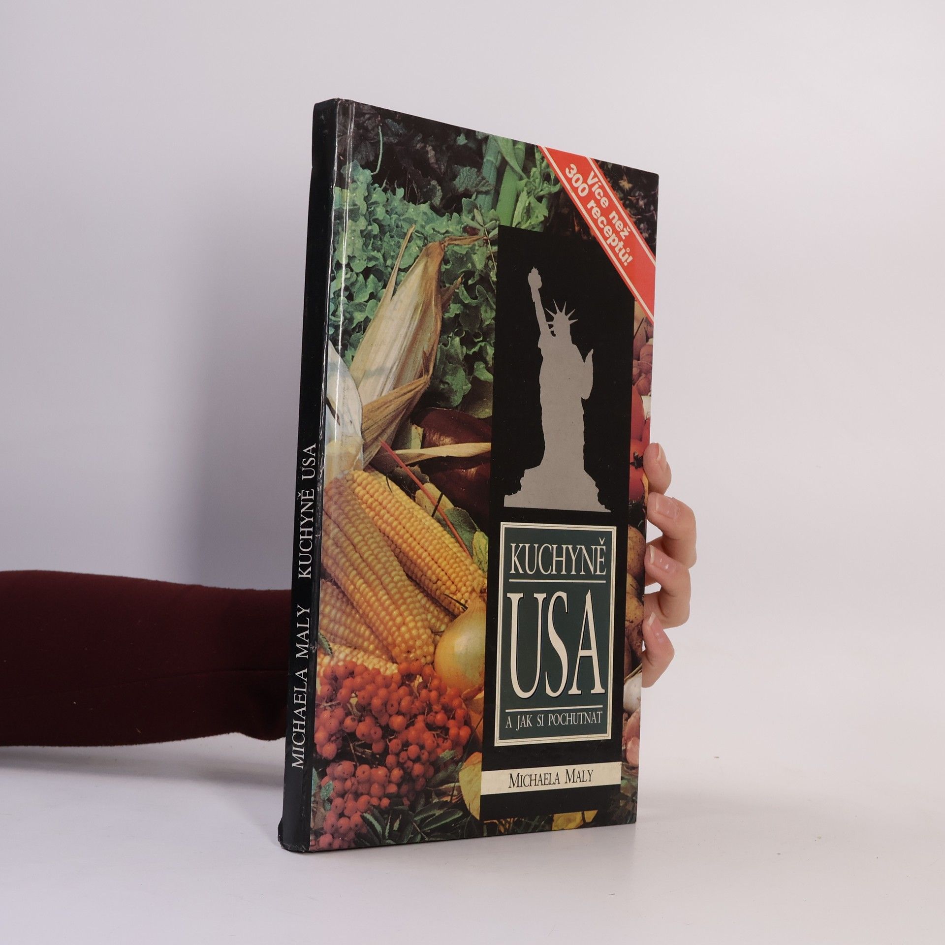 Michaela Maly Kuchyně USA a jak si pochutnat