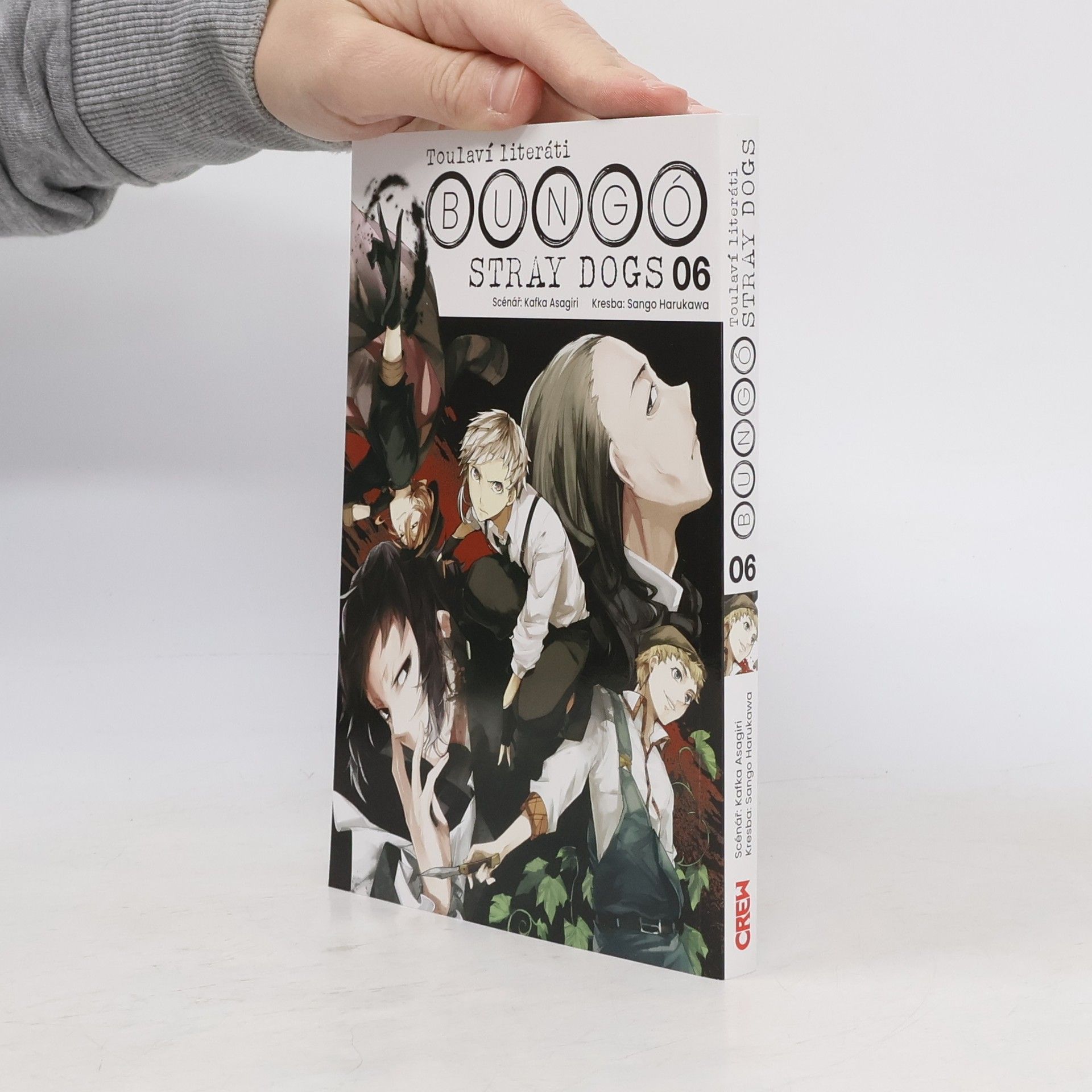 Toulaví literáti 6