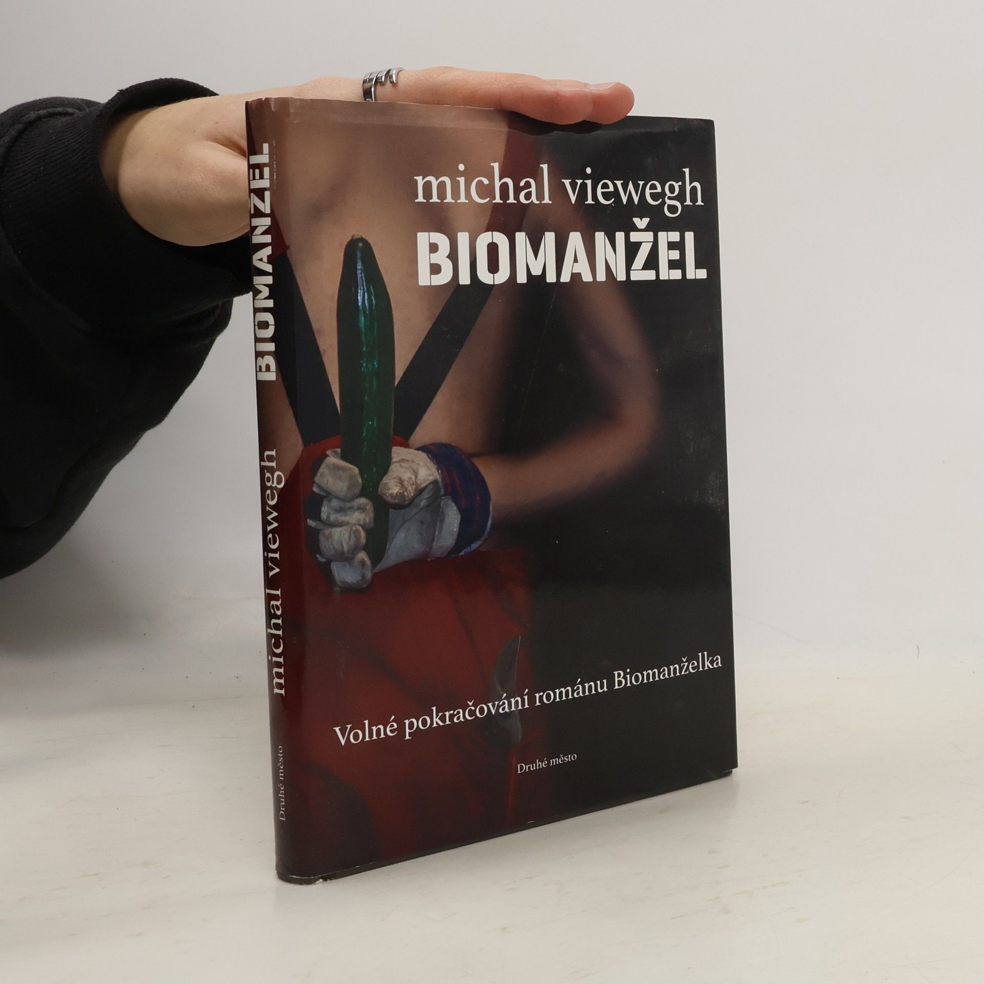 Karin Lednická Šikmý kostel