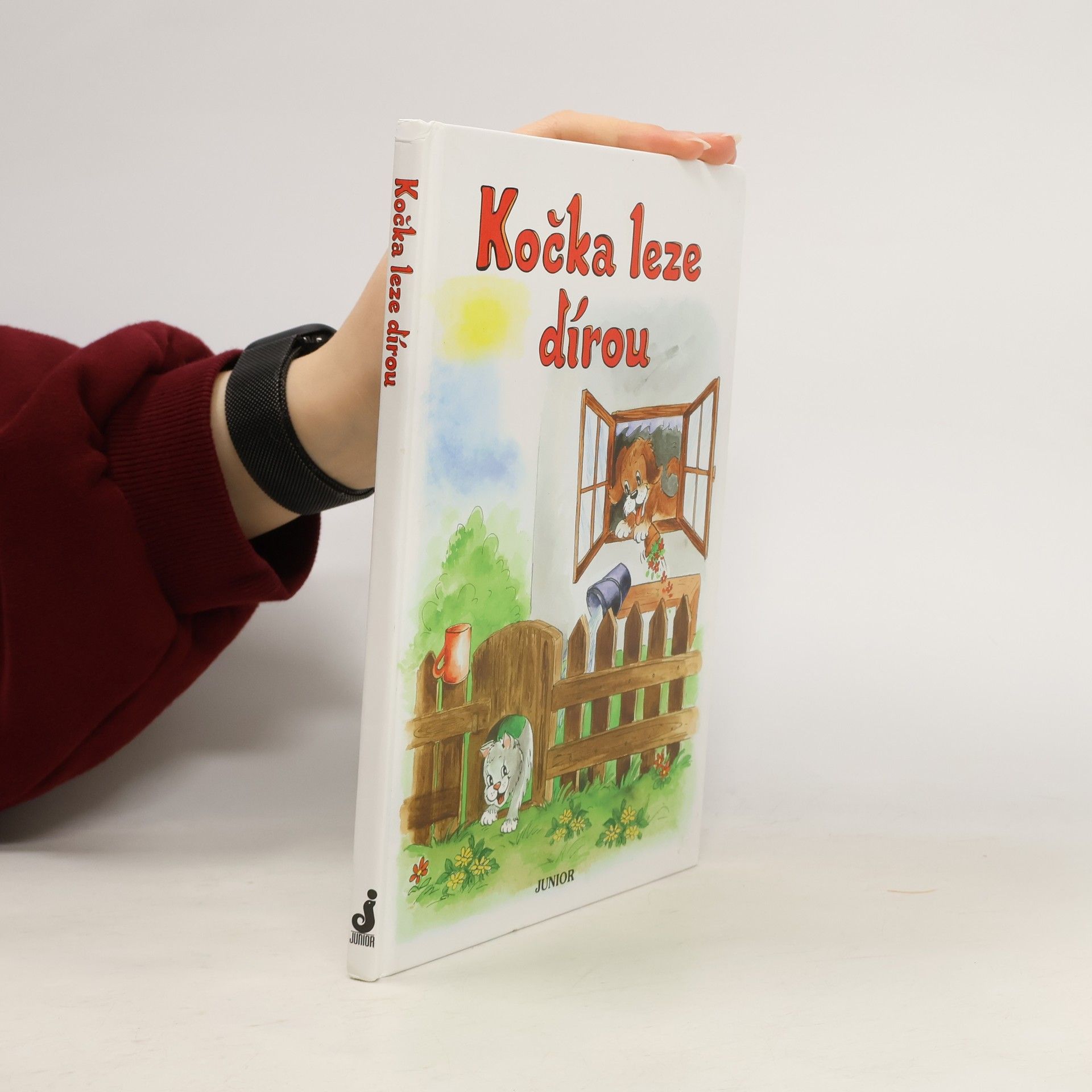 Vladimíra Vopičková Kočka leze dírou