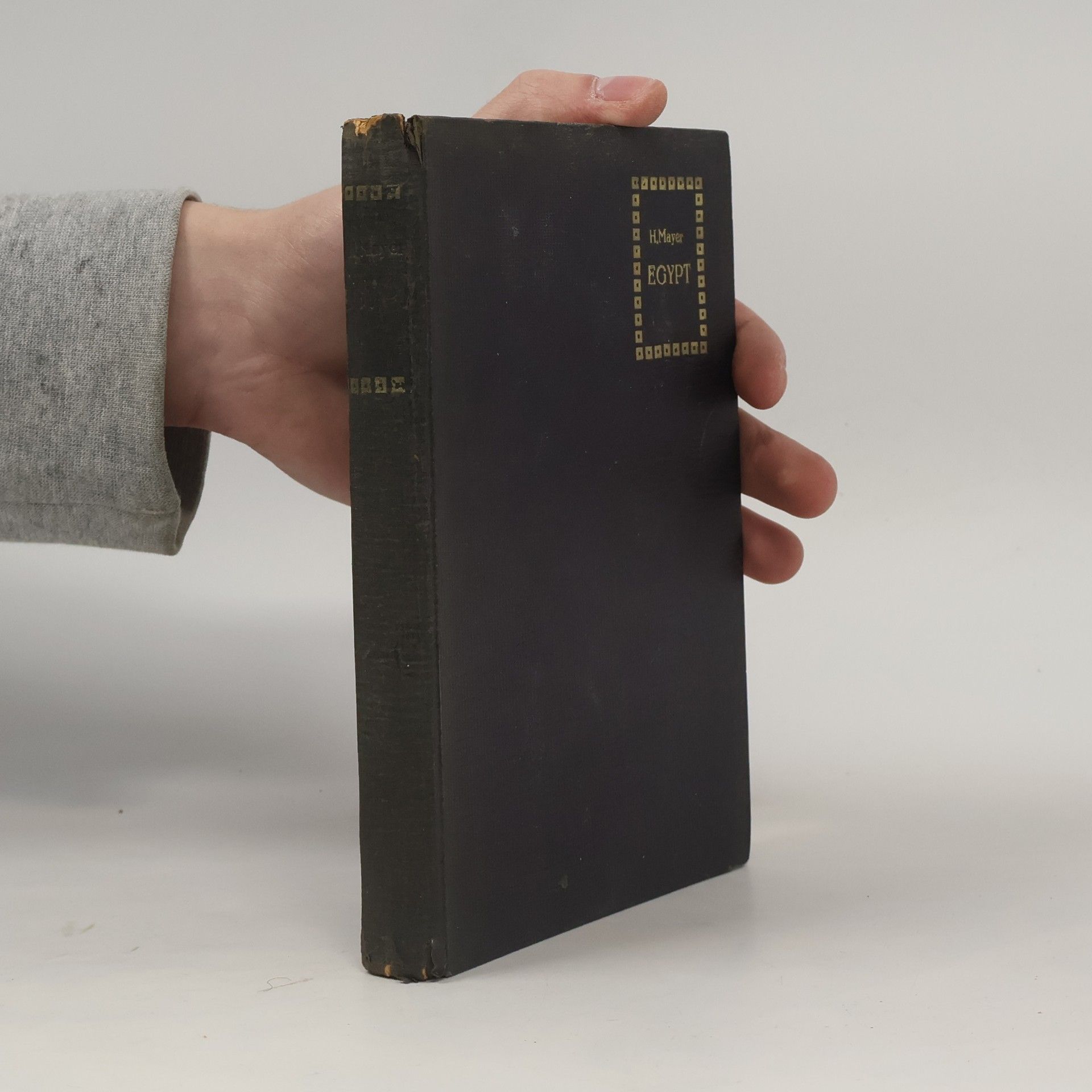 Hanuš Mayer Egypt. Obrázky z cest