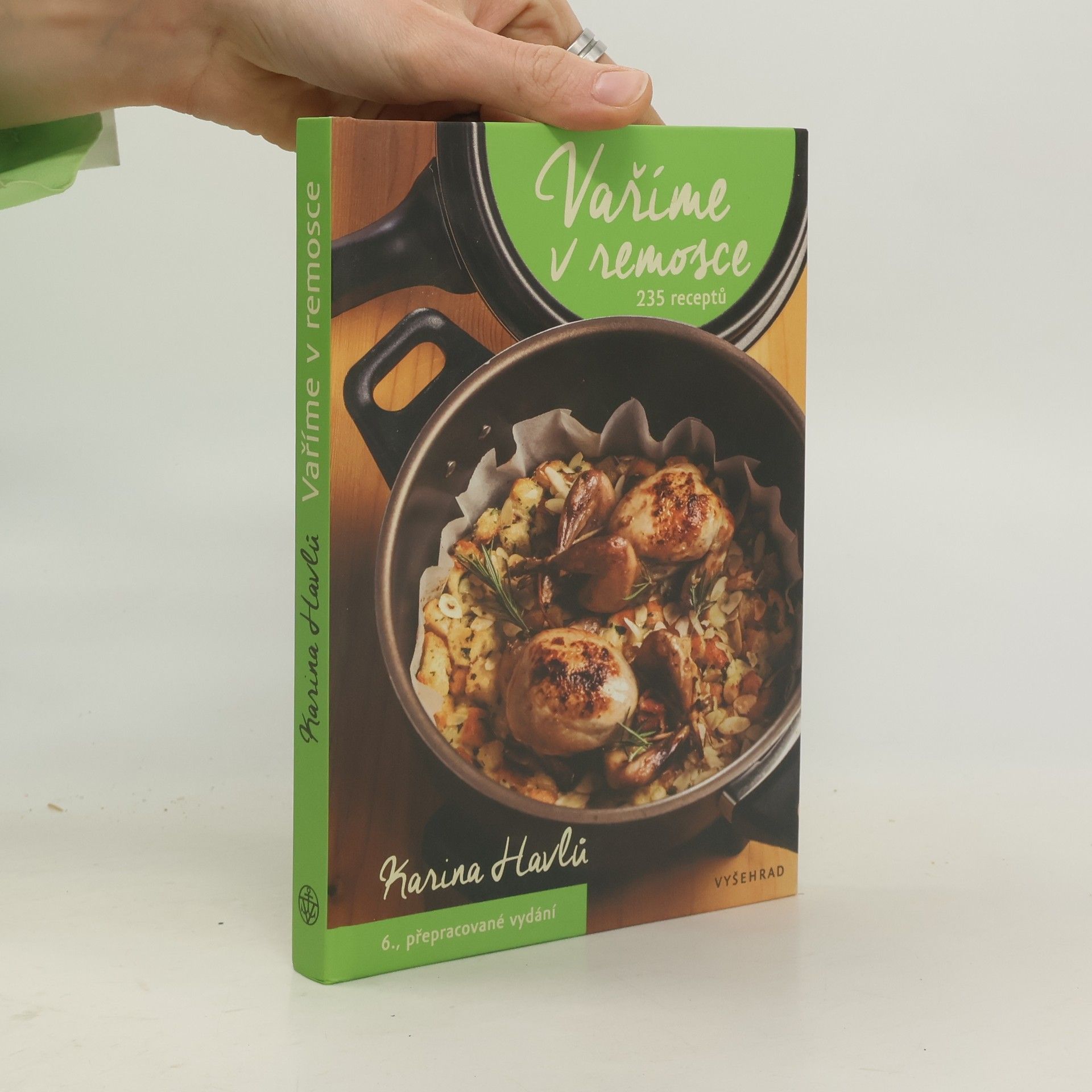 Karina Havlů Vaříme v remosce: 235 receptů