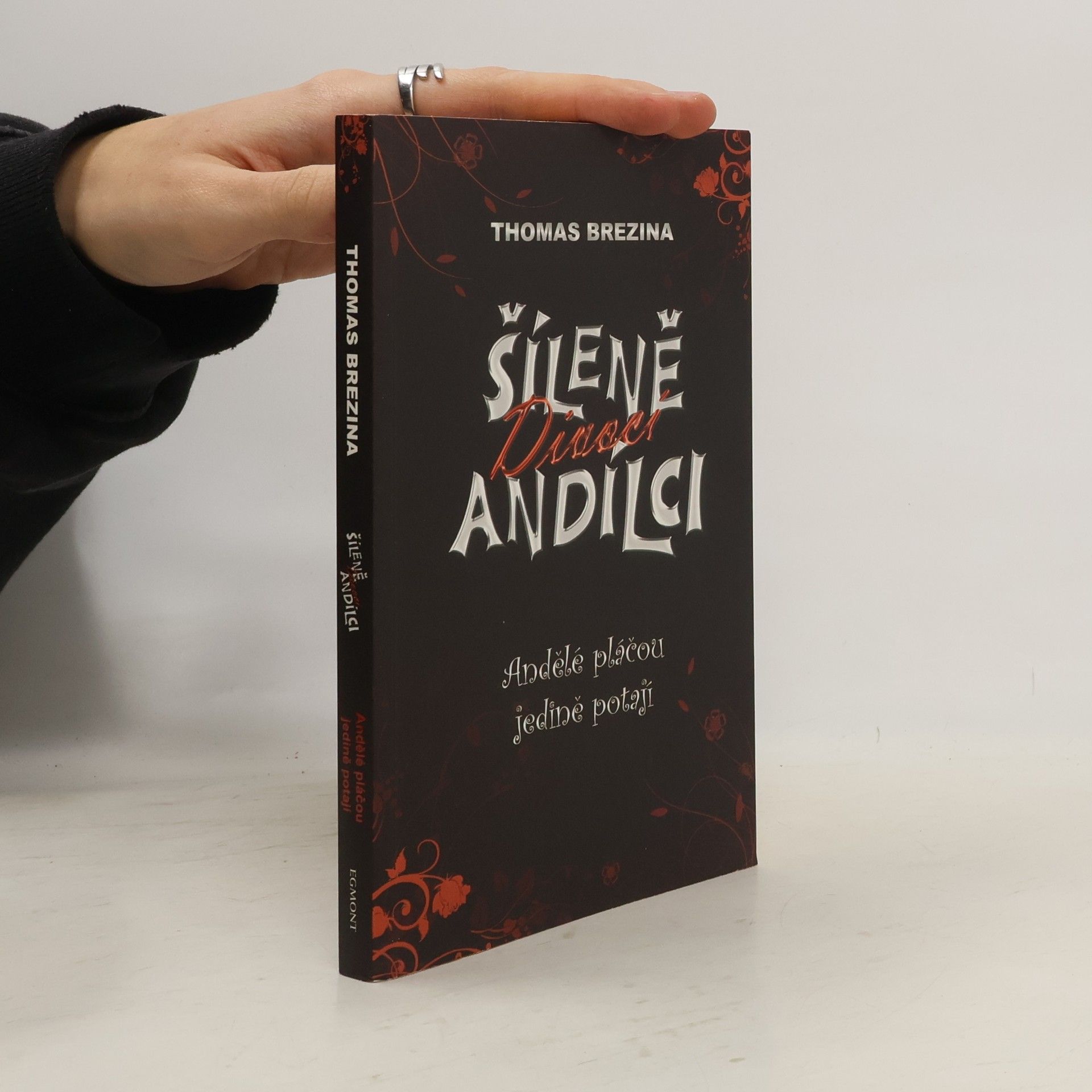 Thomas Brezina Andělé pláčou jedině potají