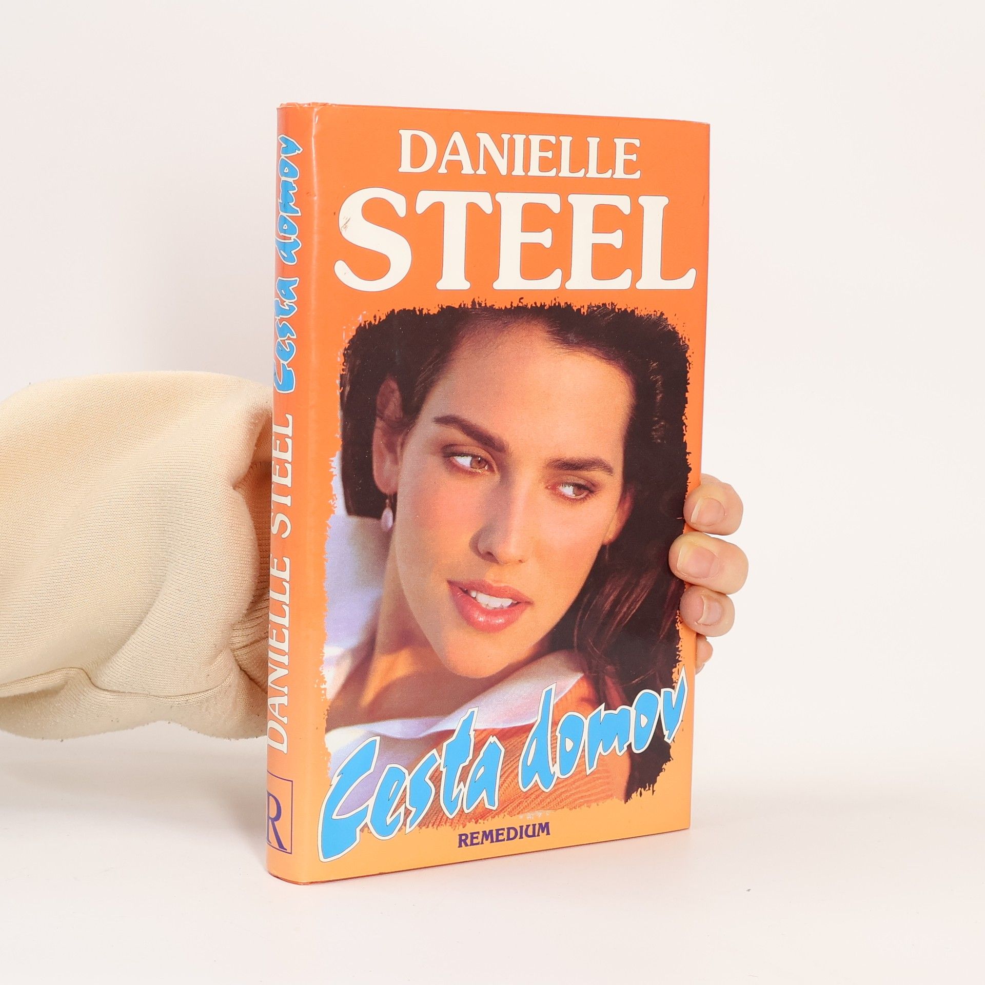 Danielle Steel Cesta domov