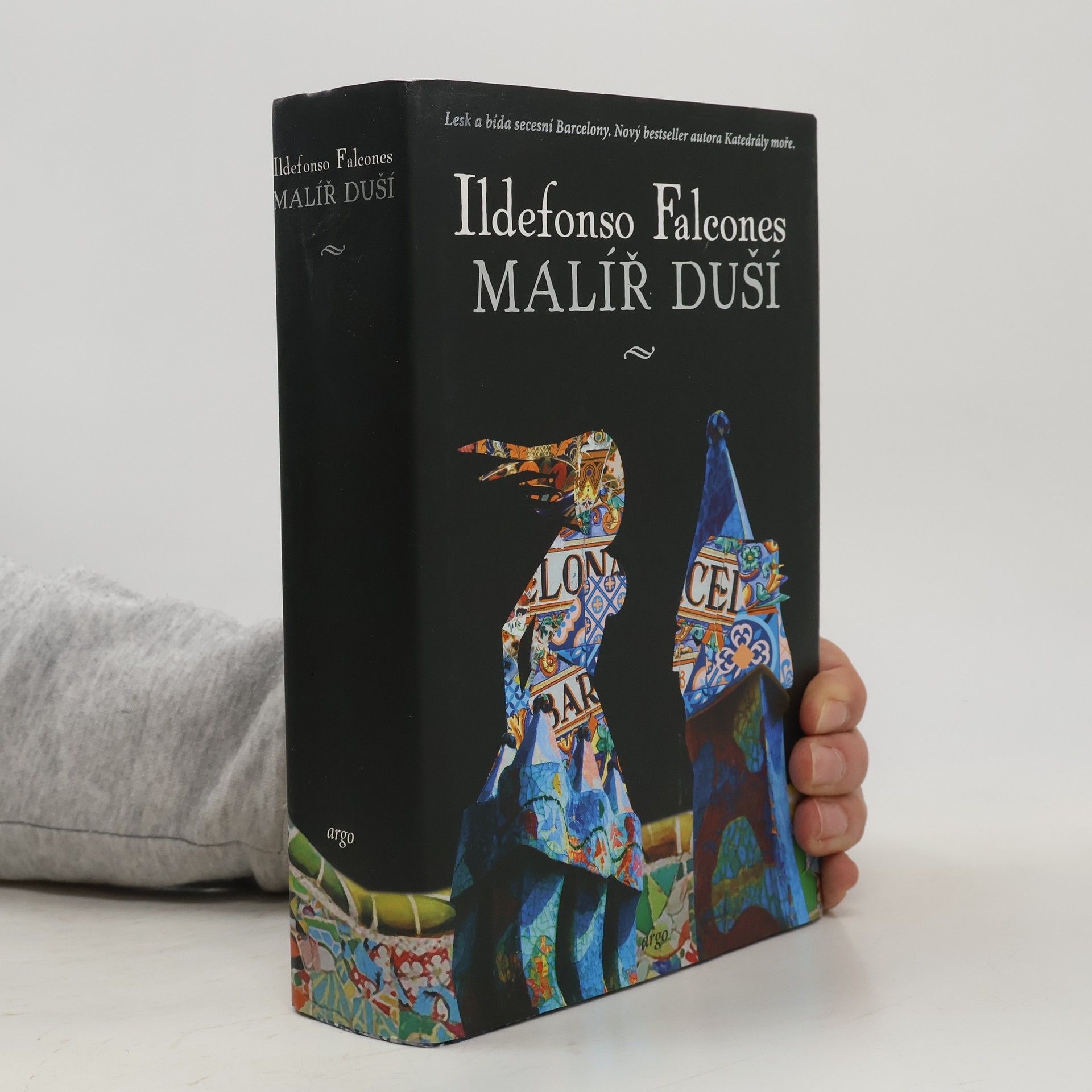 Ildefonso Falcones Malíř duší