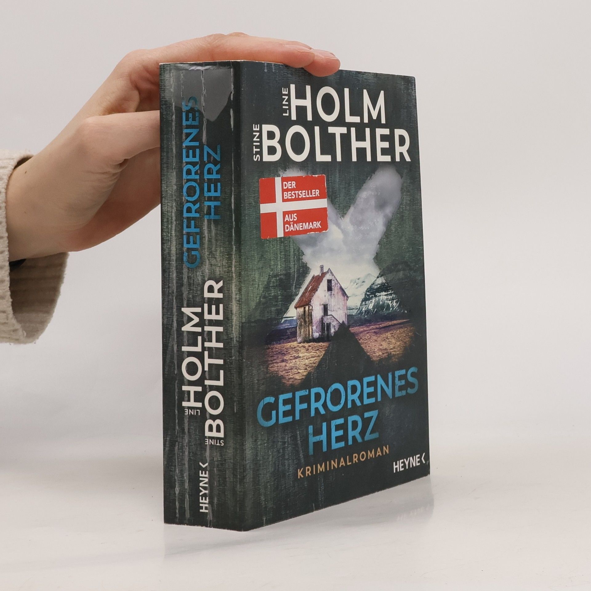 Stine Bolther Gefrorenes herz