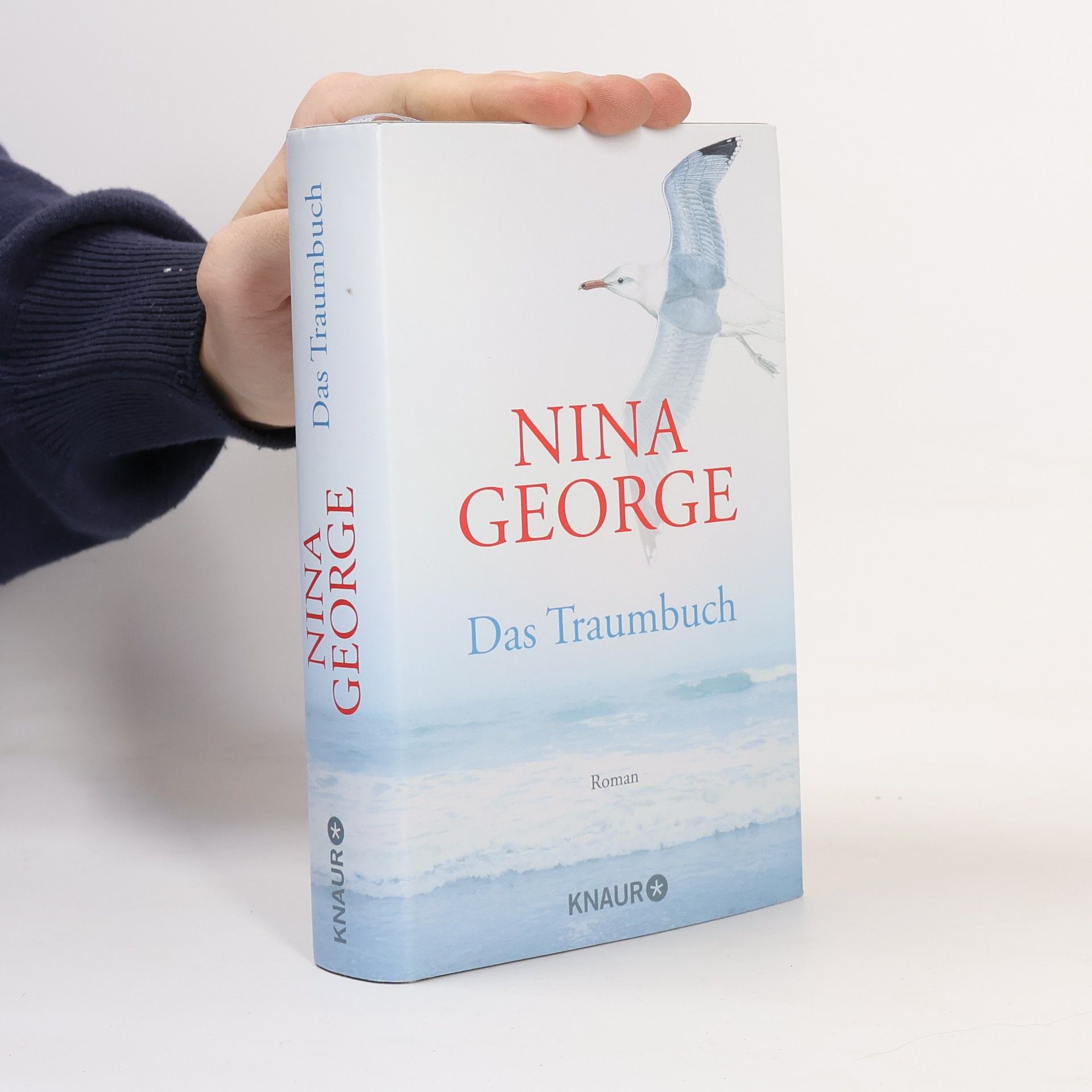 Nina George Das Traumbuch