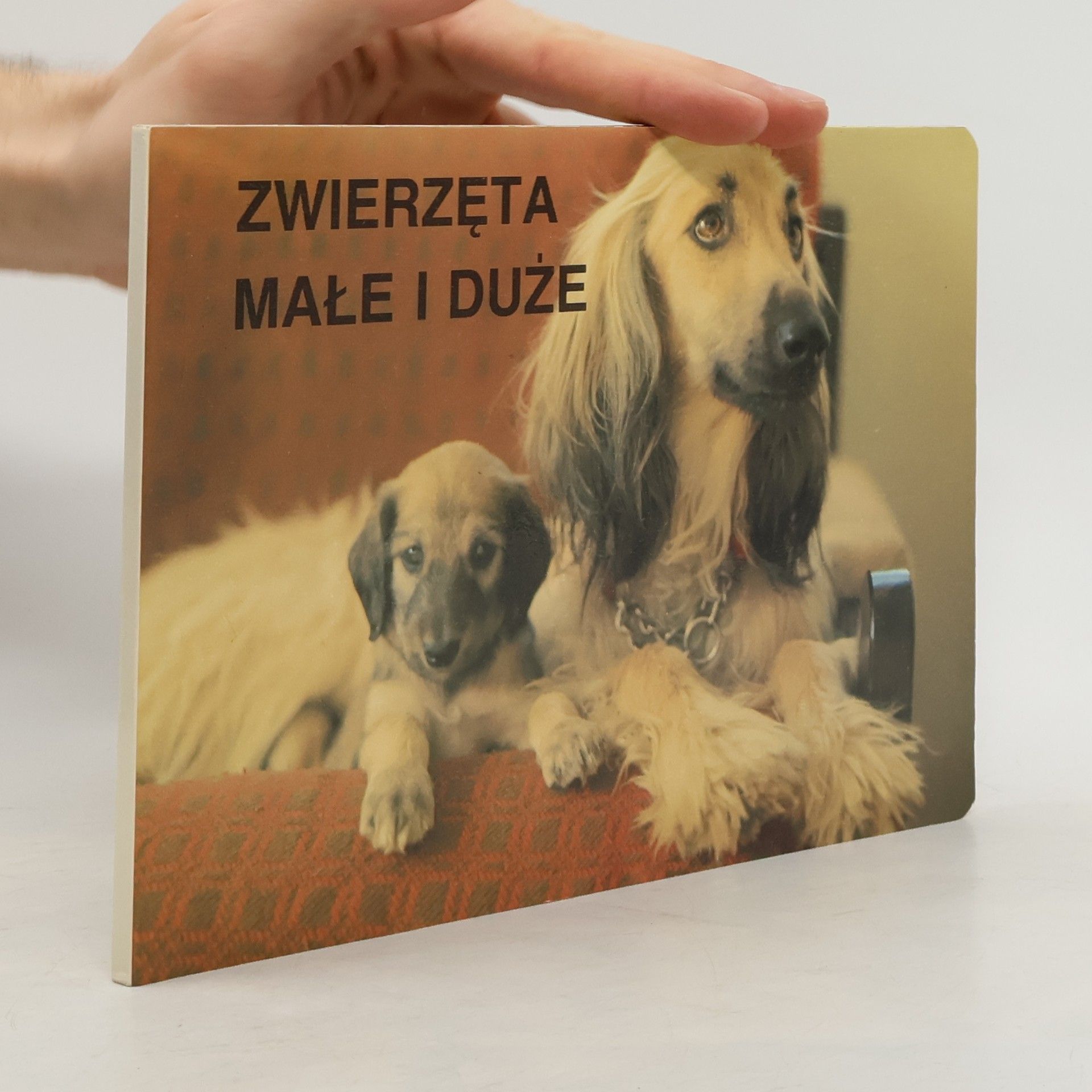 Autorenkollektiv Zwierzeta male i duze