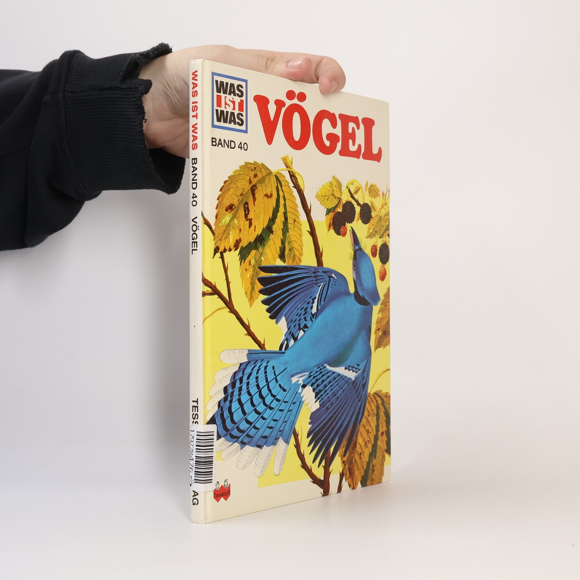 Heinrich Hoerschelmann Vögel