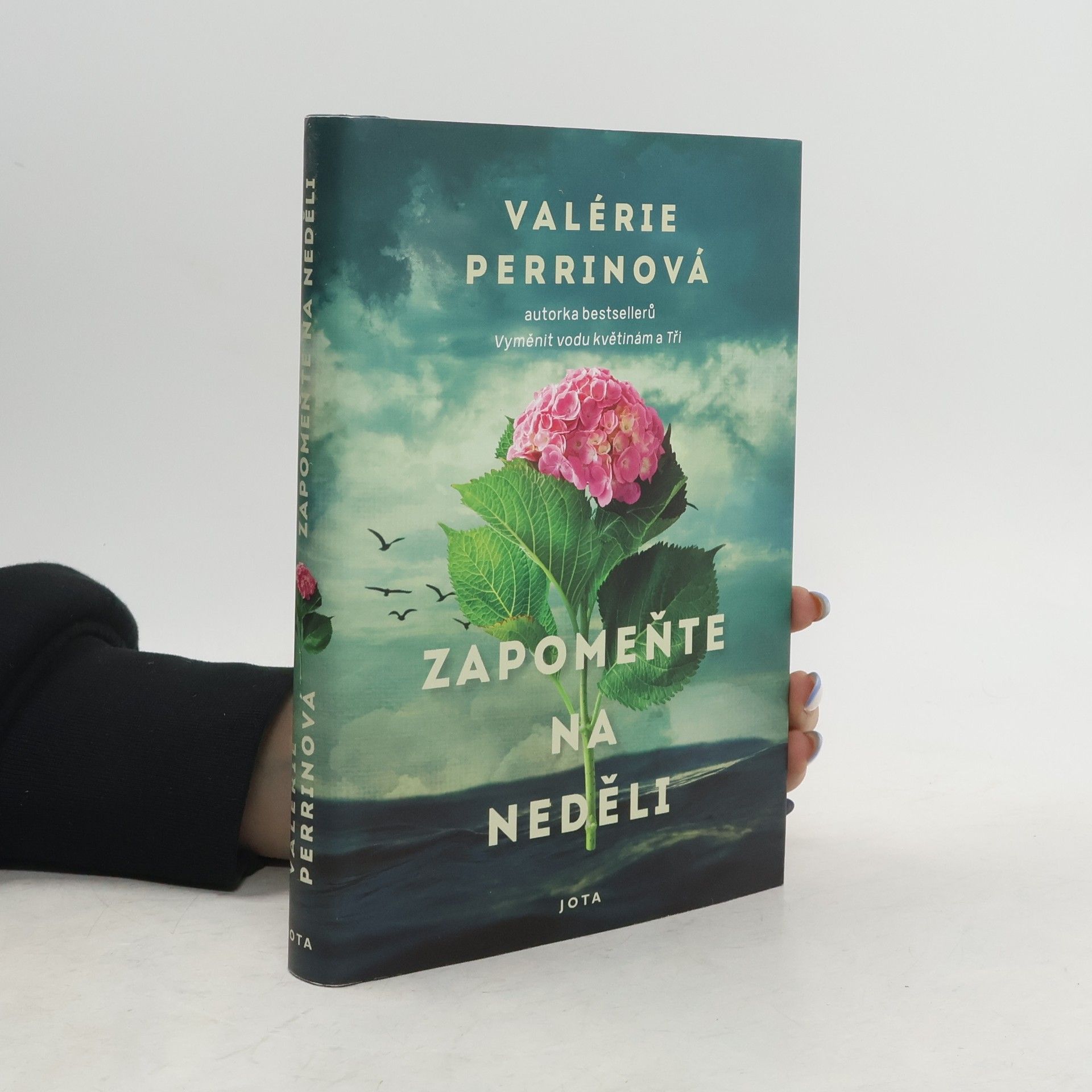 Jitka Řihánková Zapomeňte na neděli