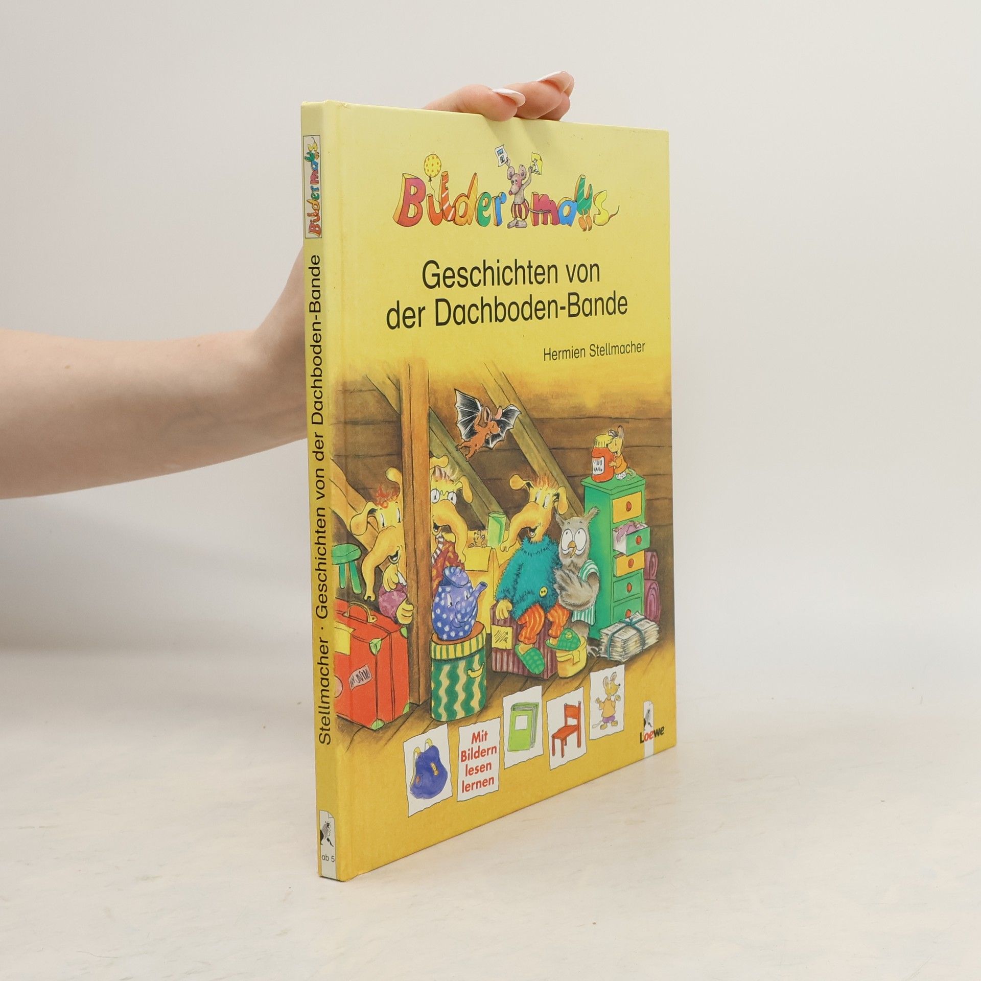 Hermien Stellmacher Bildermaus-Geschichten von der Dachboden-Bande