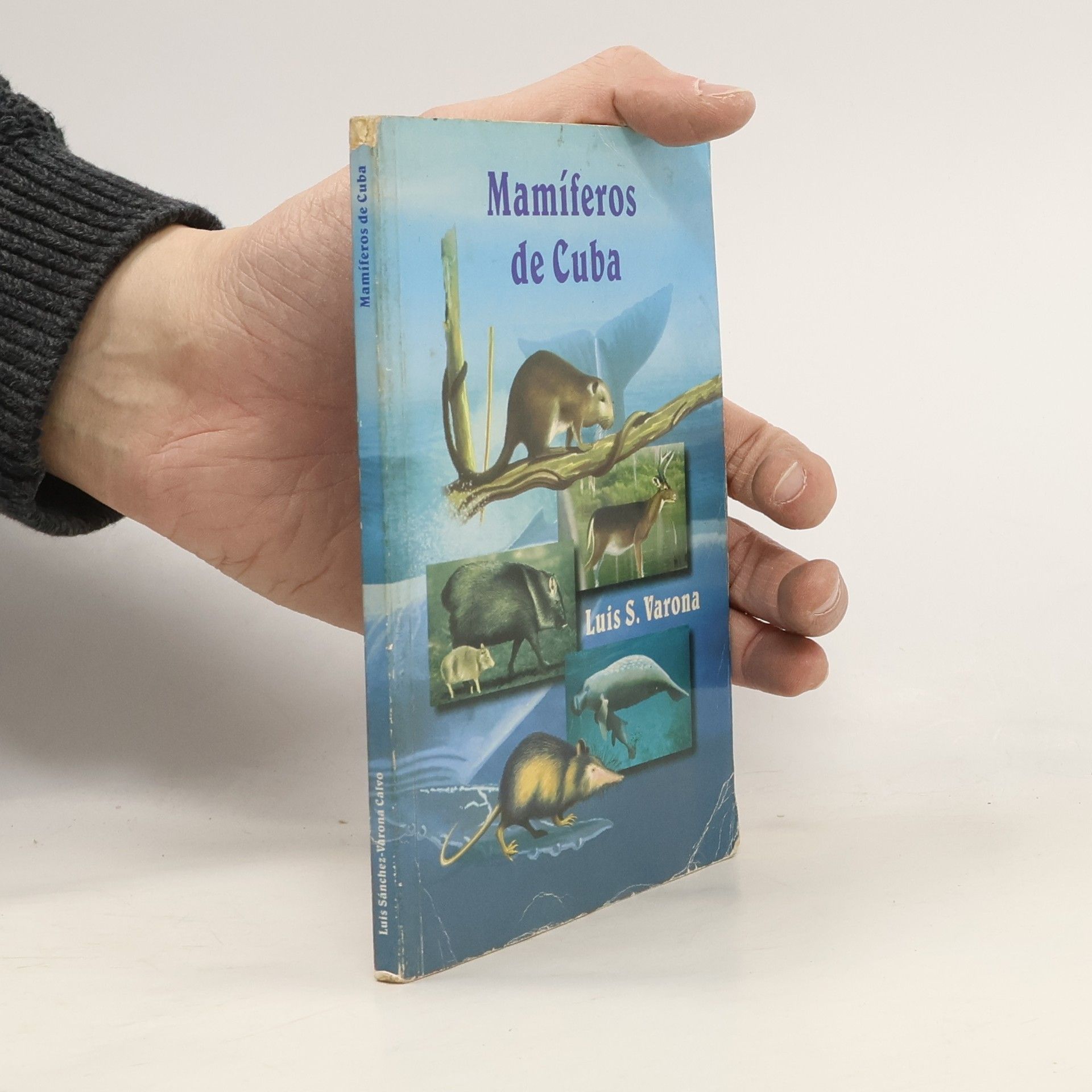 Luis Sánchez-Varona Calvo Mamíferos en Cuba
