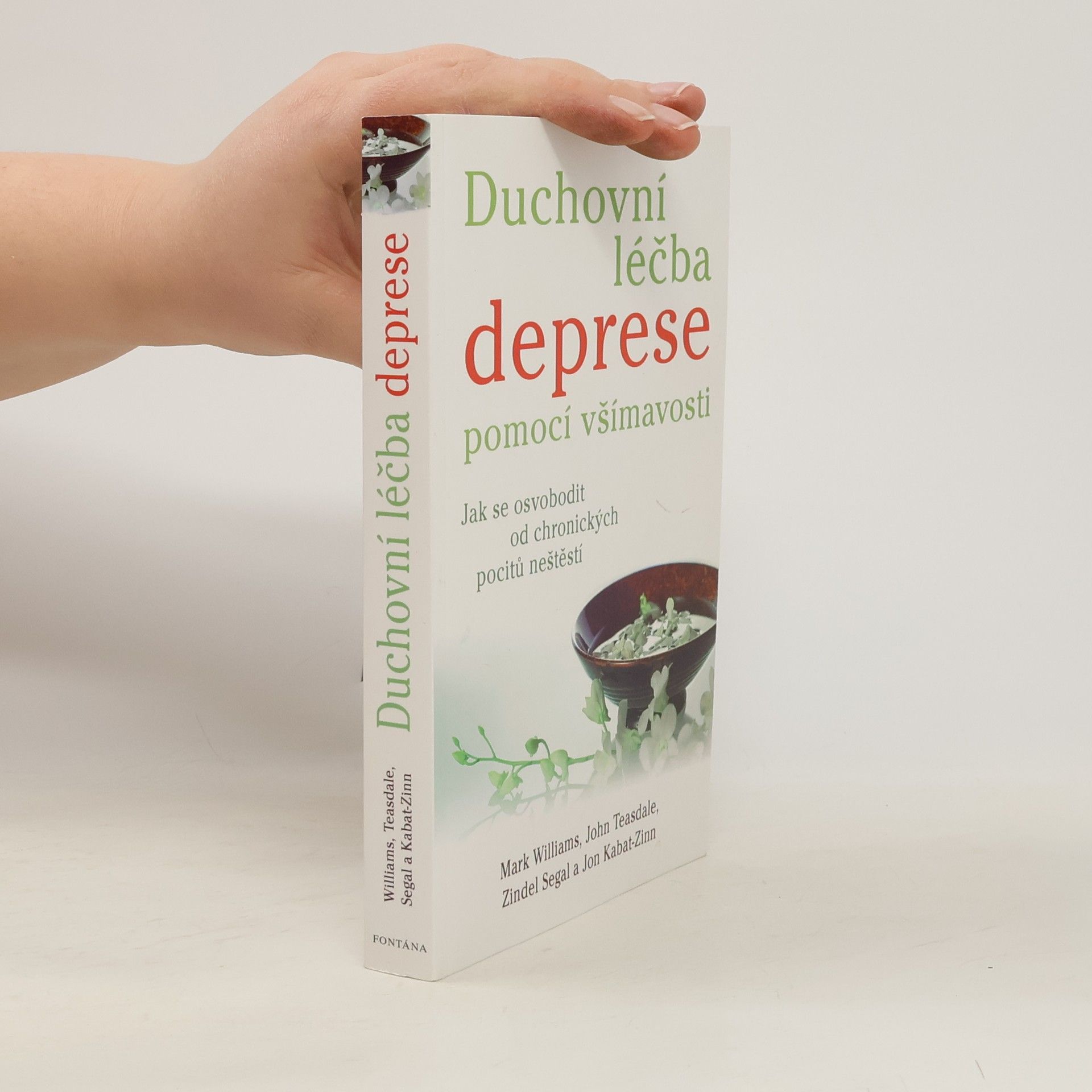 Duchovní léčba deprese pomocí všímavosti - Jak se osvobodit od chronických pocitů neštěstí