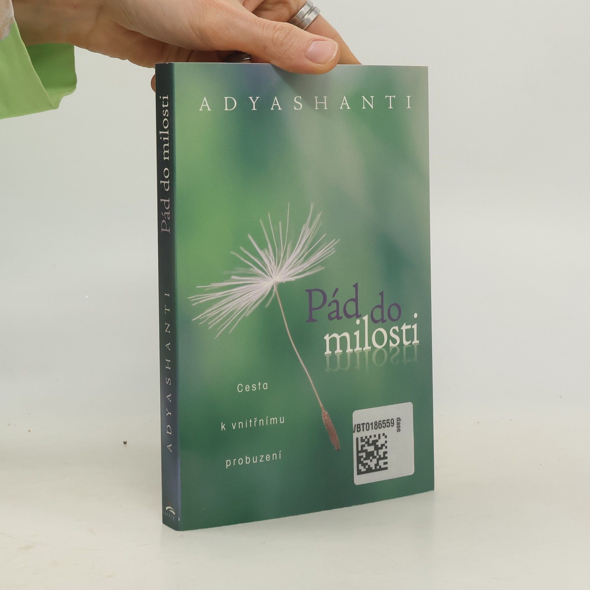 Stephen Gray Pád do milosti