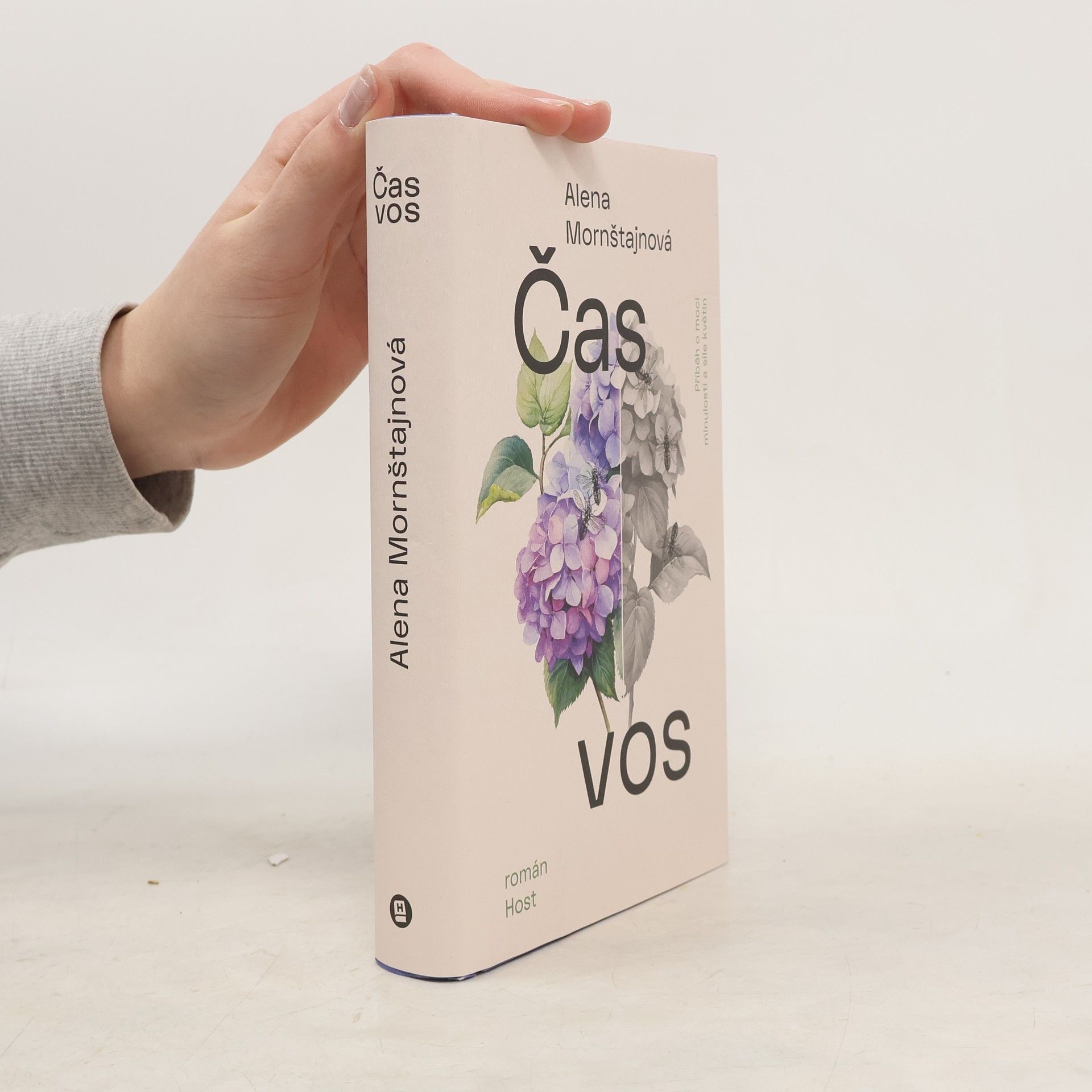Alena Mornštajnová Čas vos