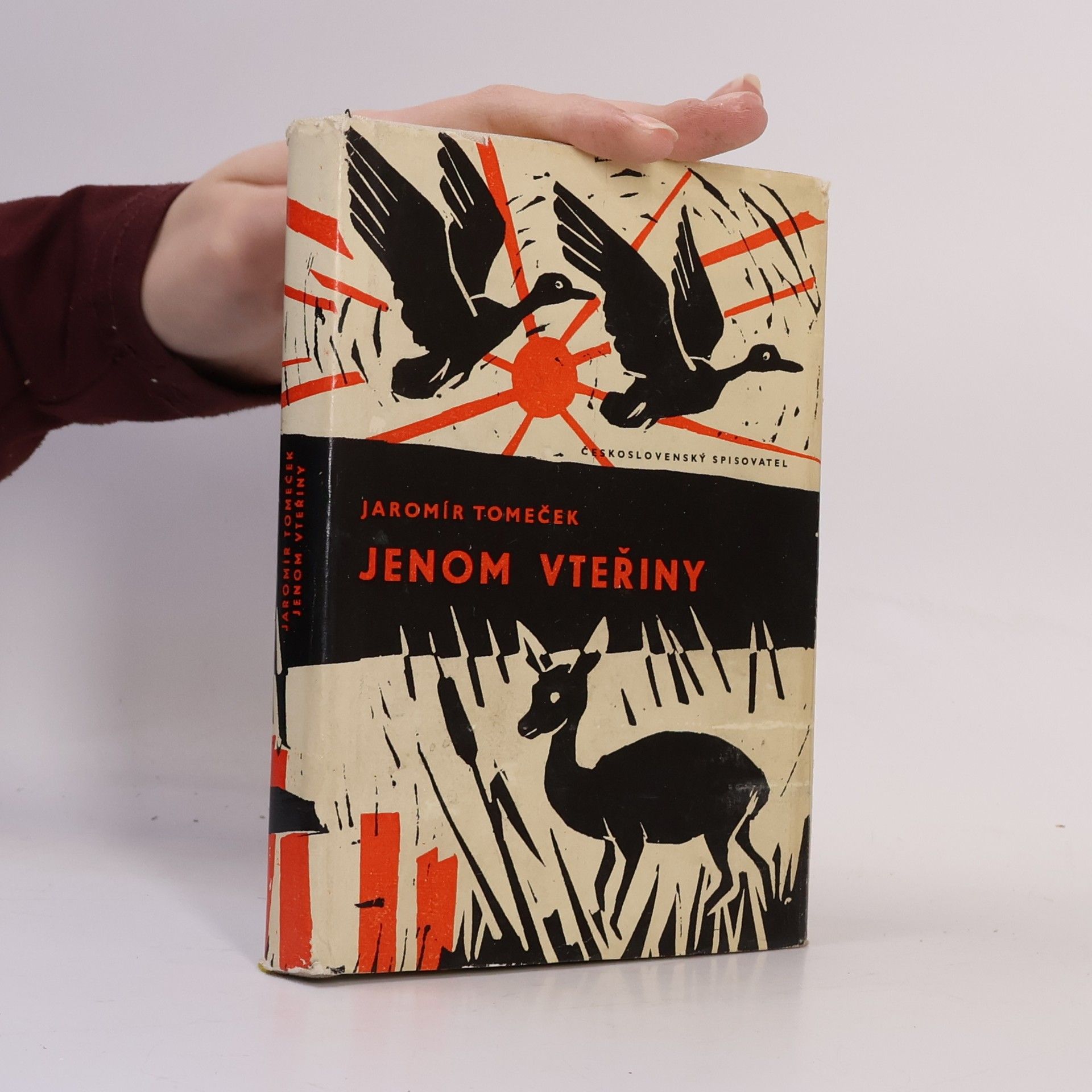 Jaromír Tomeček Jenom vteřiny