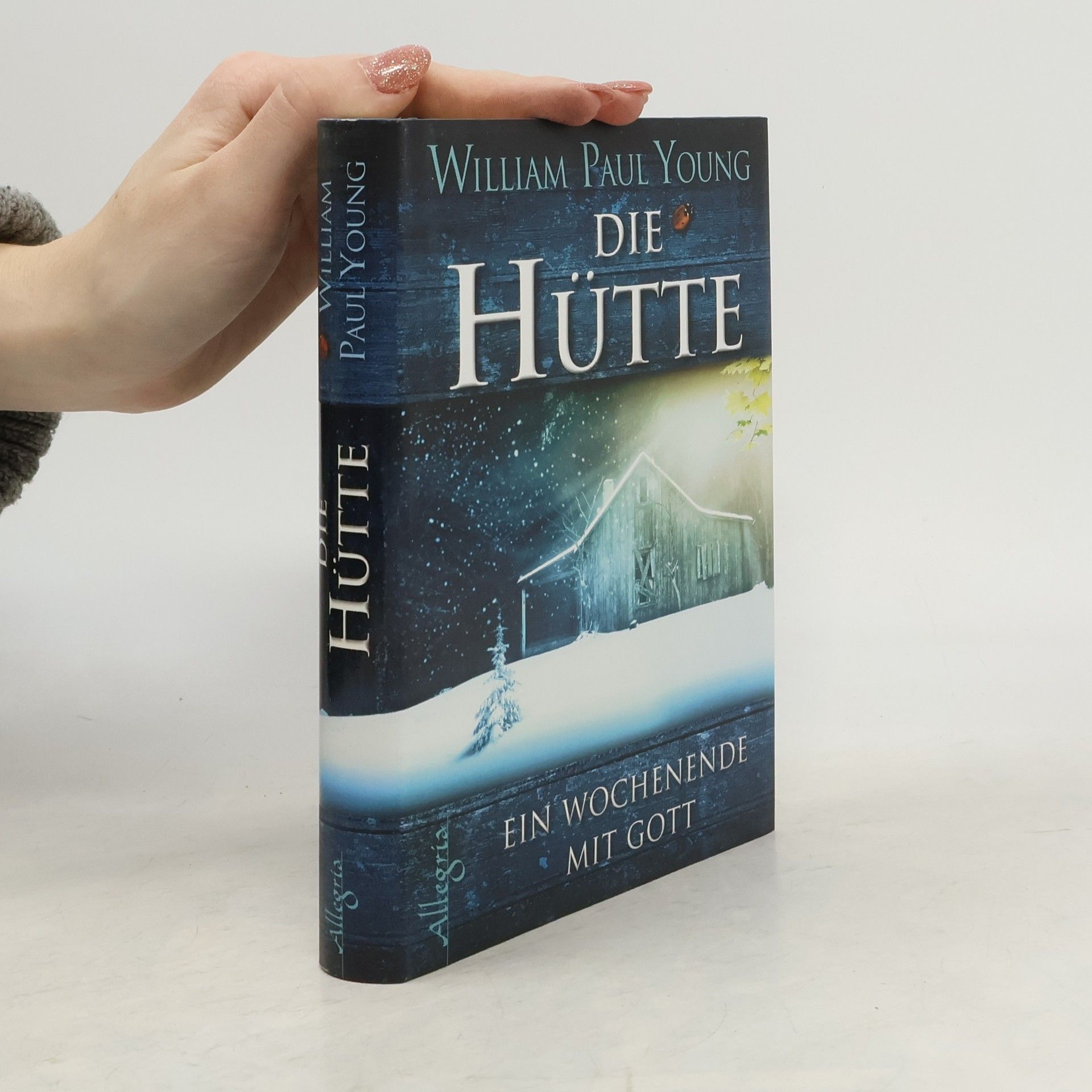 William Paul Young Die Hütte