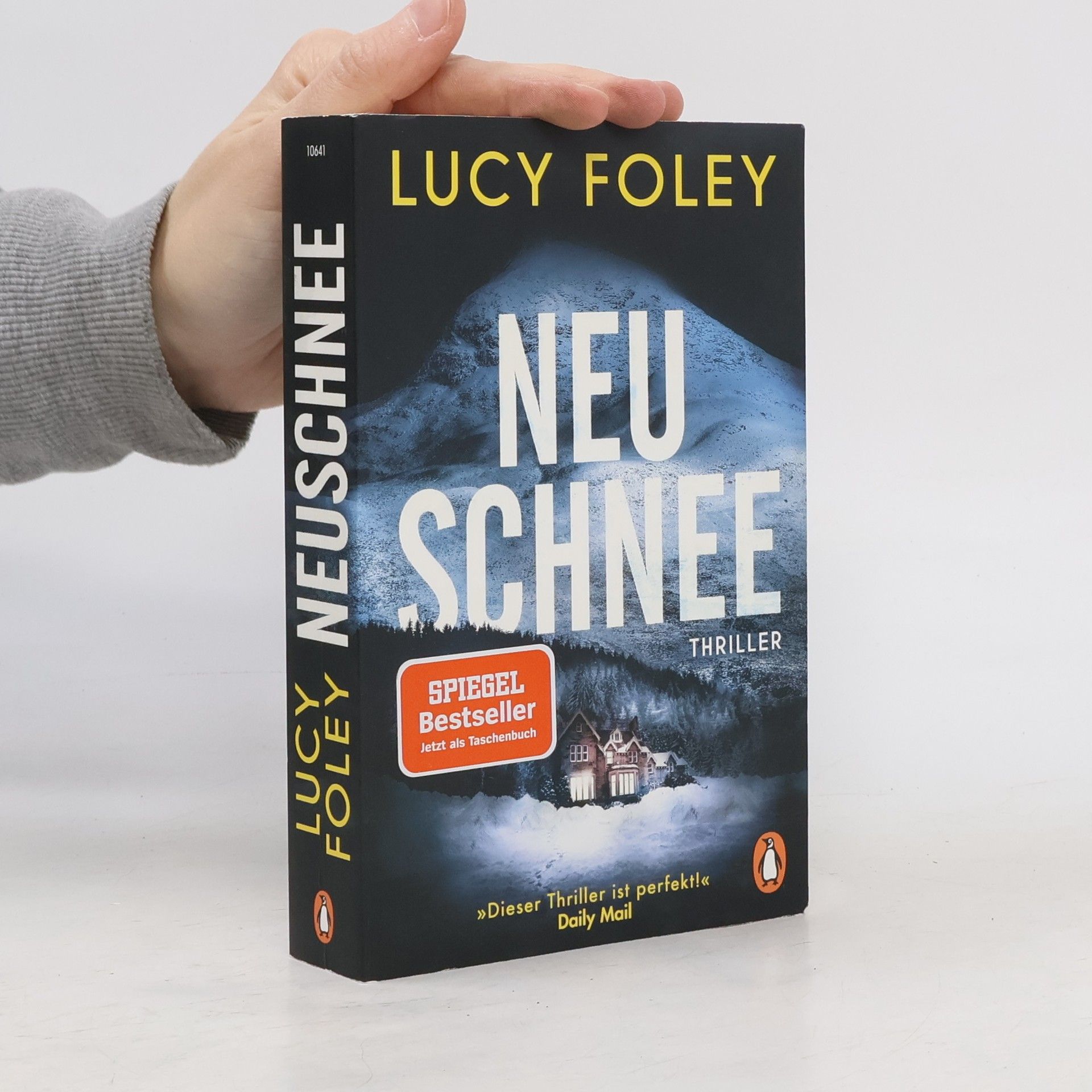 Lucy Foley Neuschnee