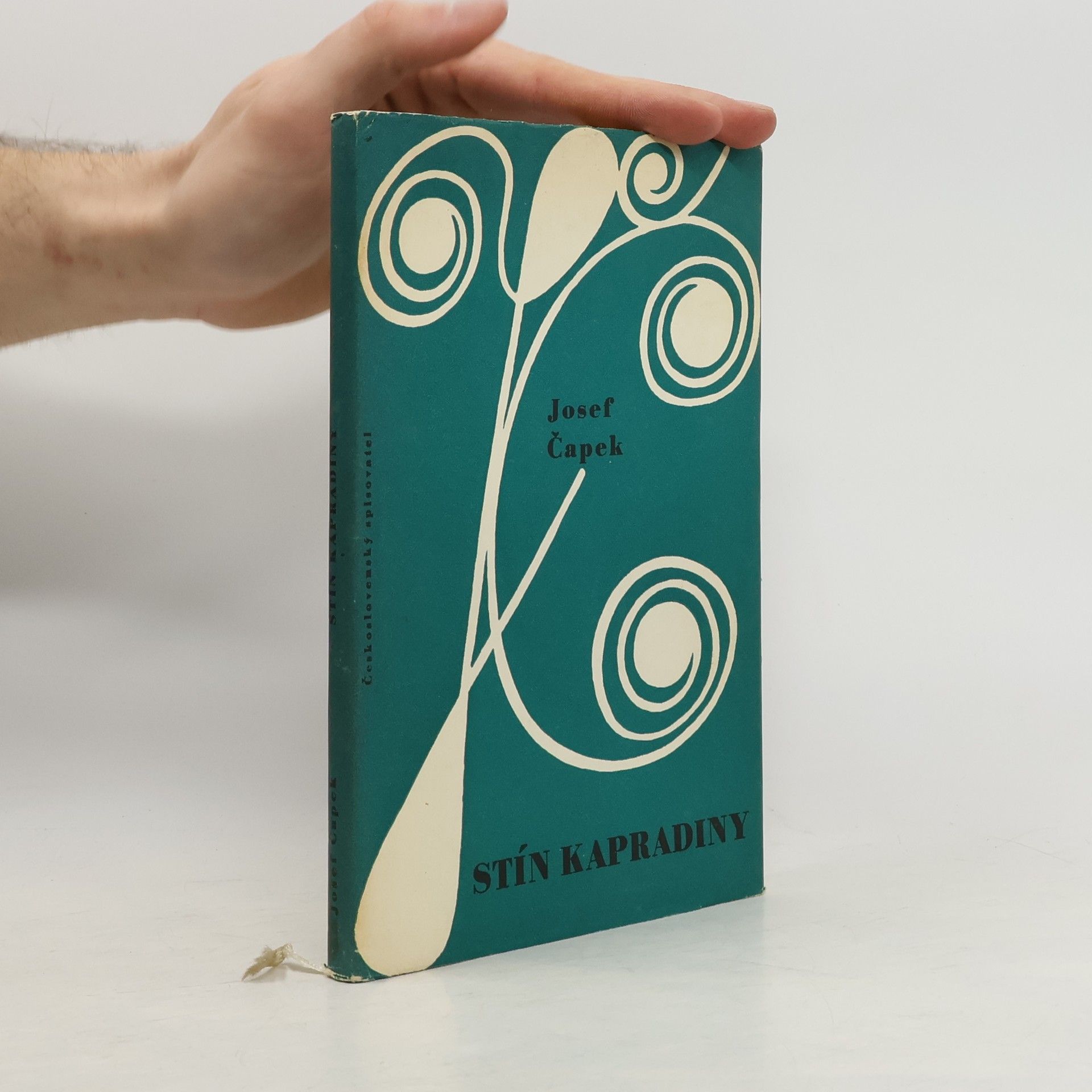 Josef Čapek Stín kapradiny