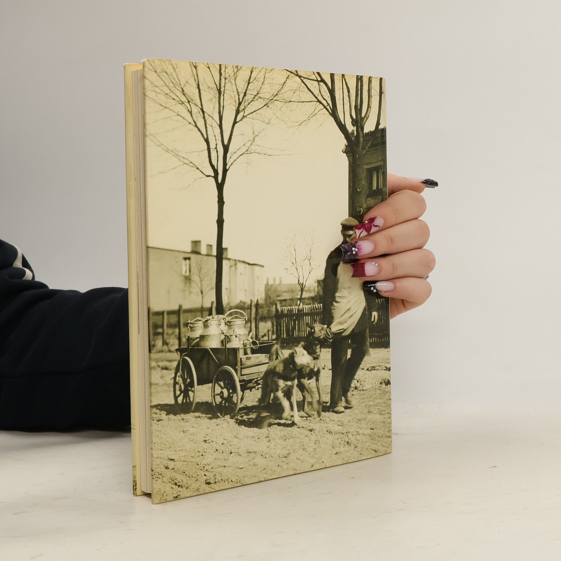 Gerd Koischwitz Sechs Dorfer in Sumpf und Sand