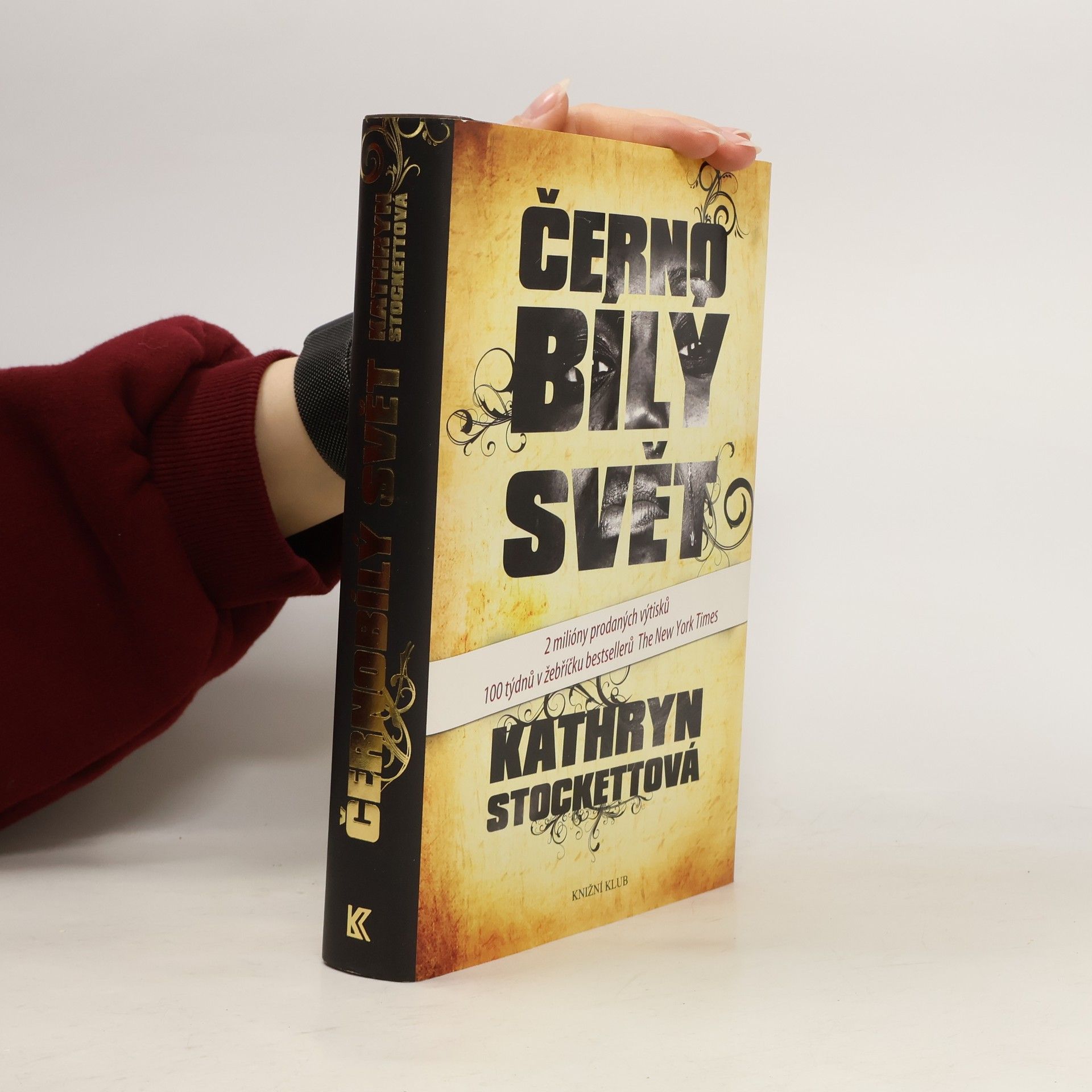 Kathryn Stockett Černobílý svět