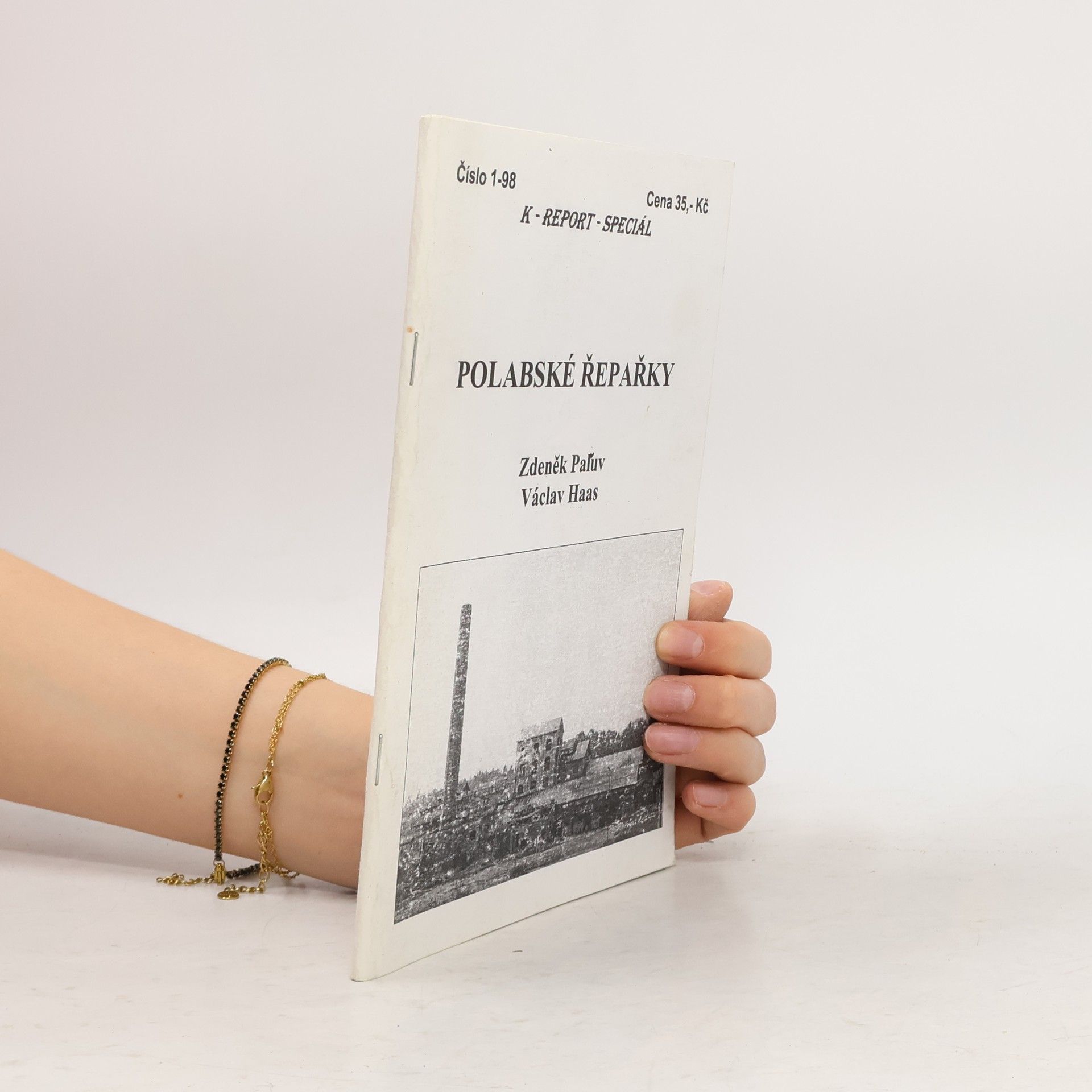 Zdeněk Paluv Polabské řepařky