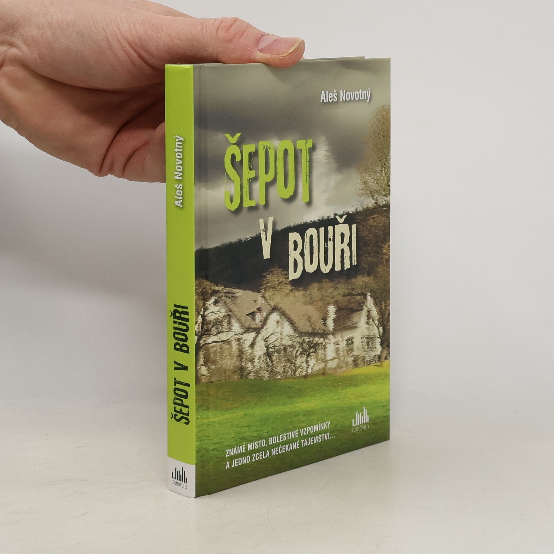 Aleš Novotný Šepot v bouři