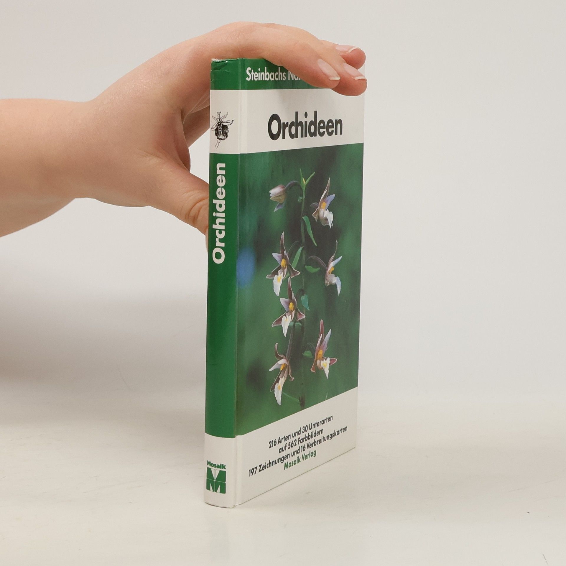 Autorenkollektiv Orchideen