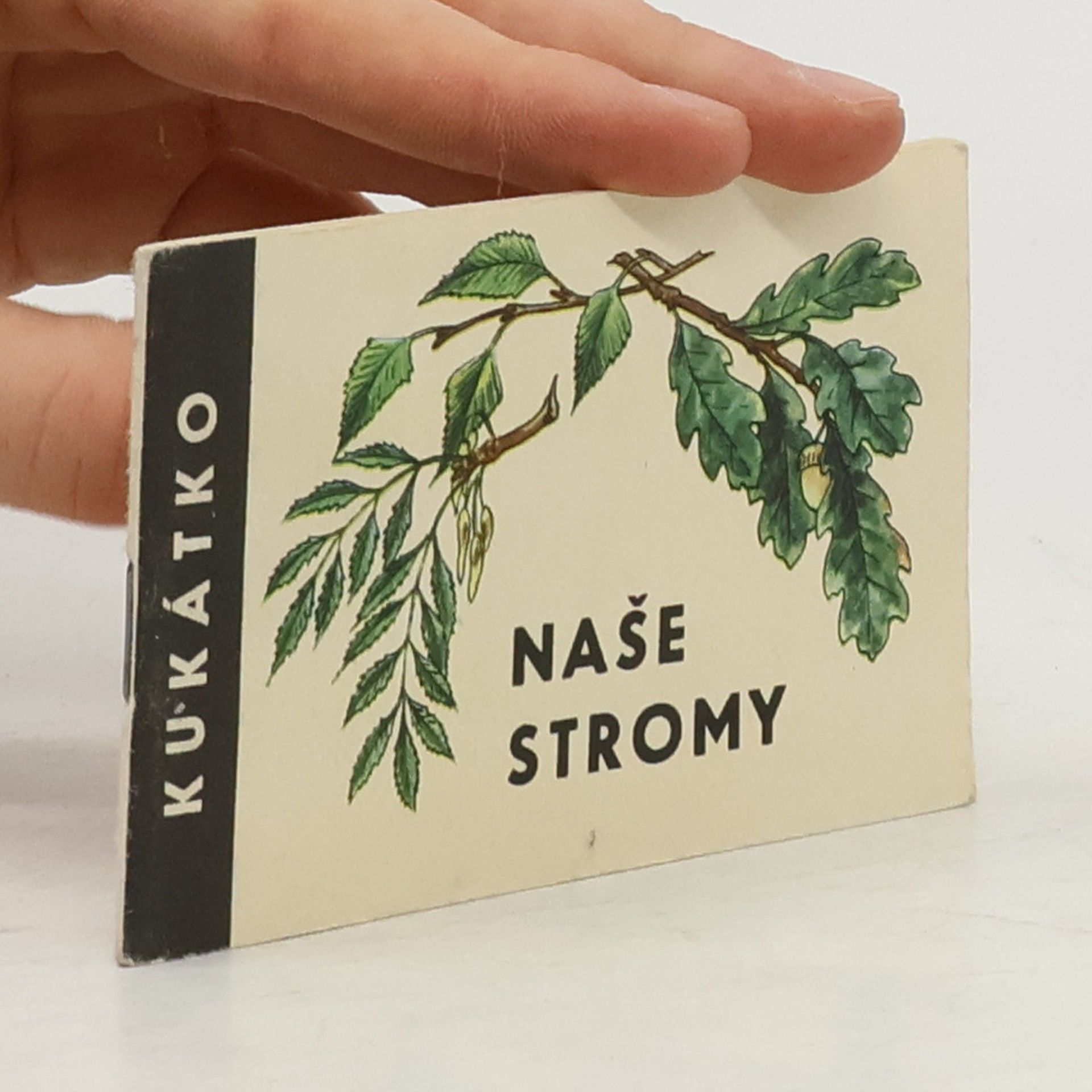 Václav Netušil Naše stromy