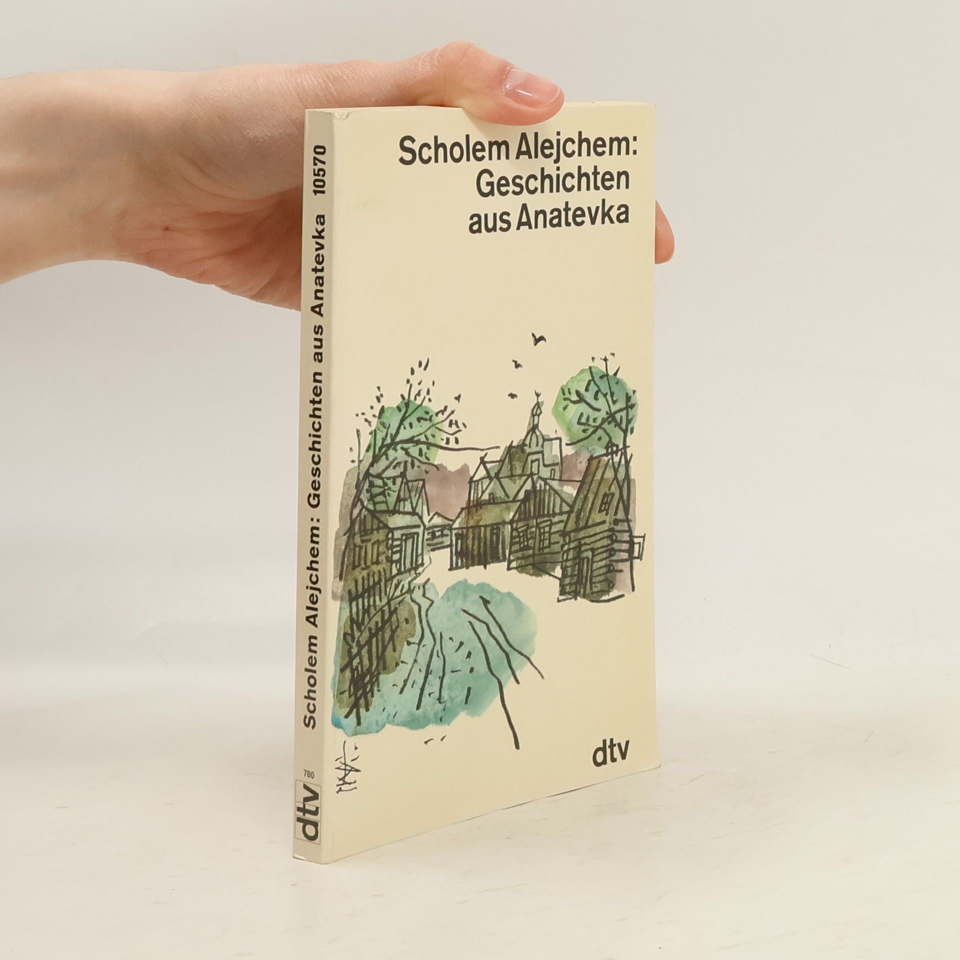 Scholem Alejchem dtv Literatur: Geschichten aus Anatevka