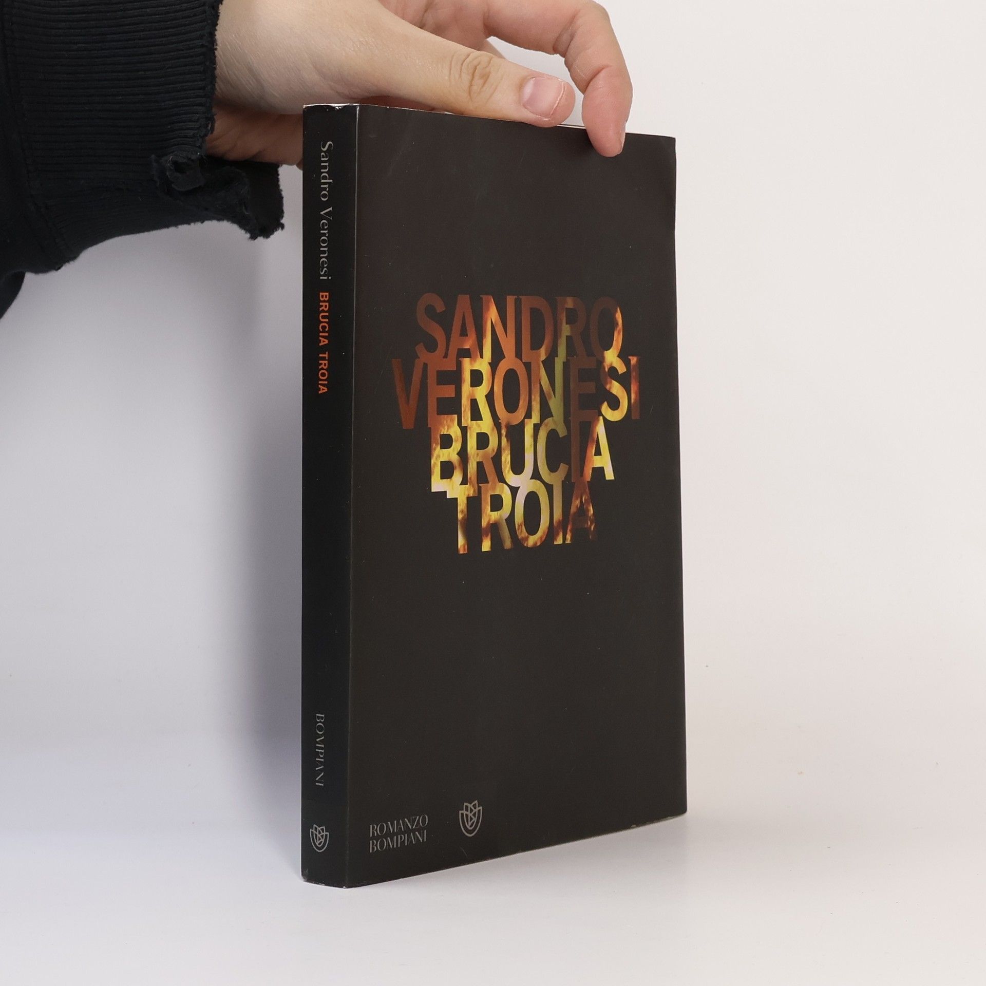 Sandro Veronesi Narratori italiani: Brucia Troia