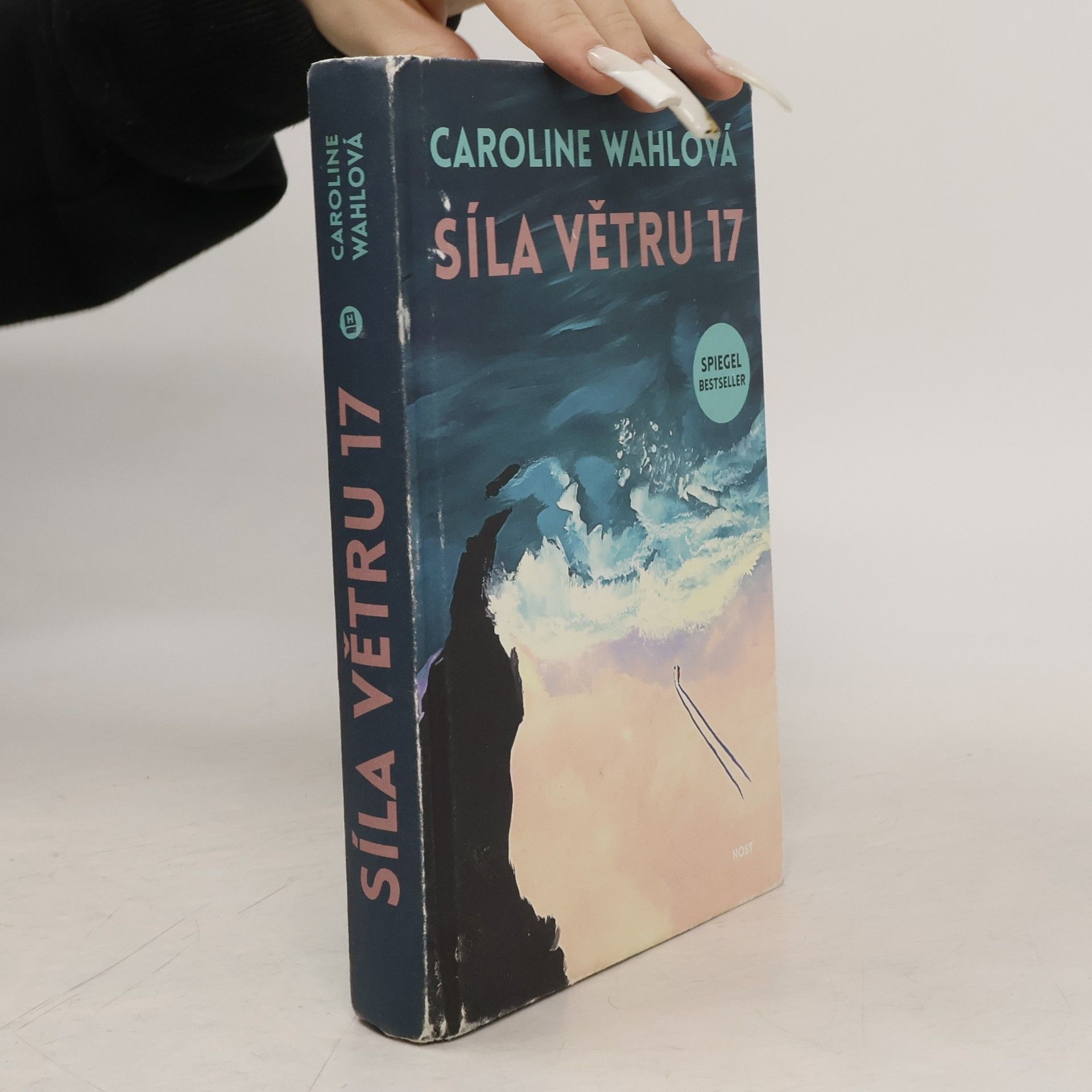 Caroline Wahl Síla větru 17